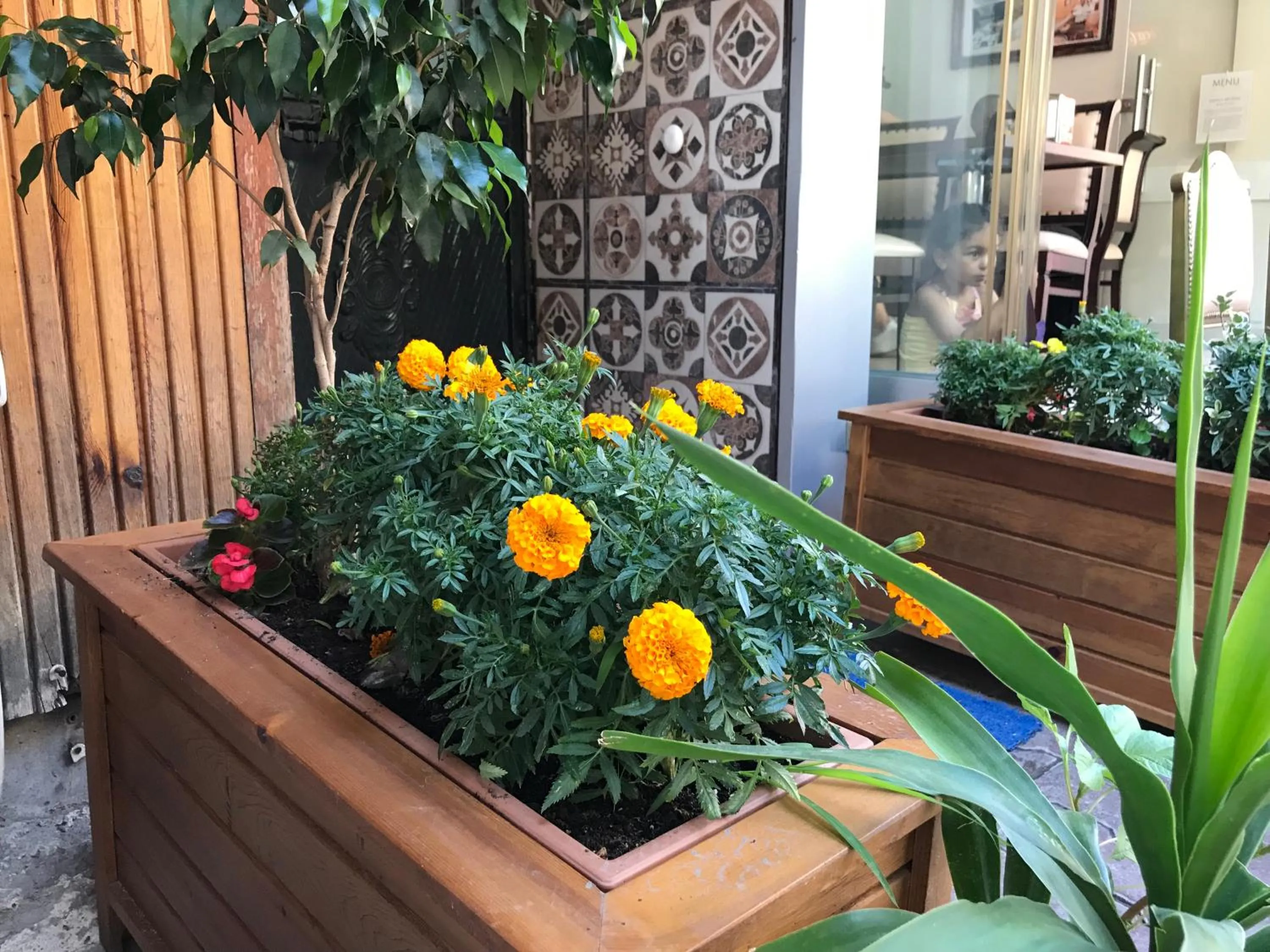 Patio in Goji's Apartments