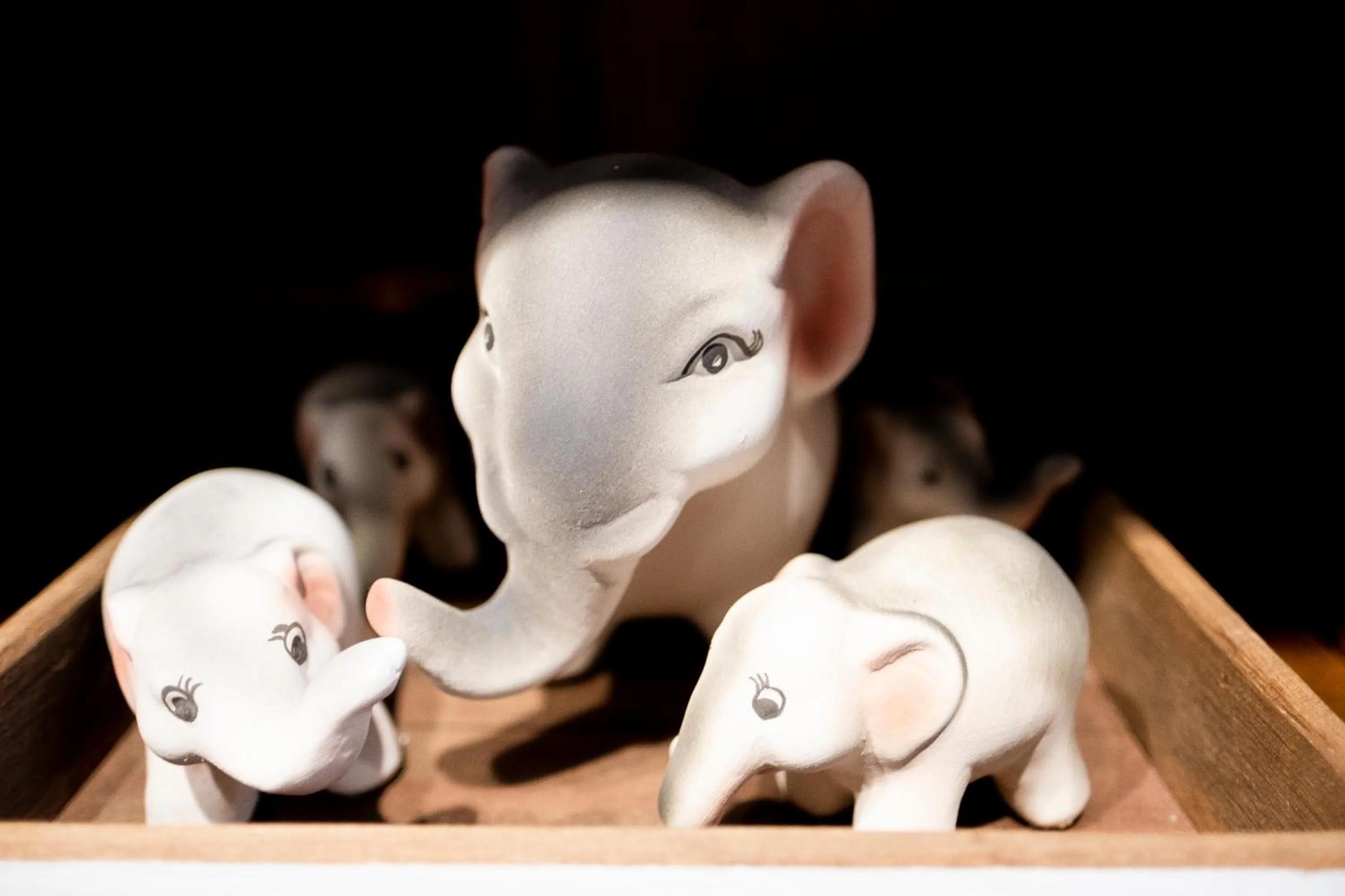 Other in Check-in My Hostel