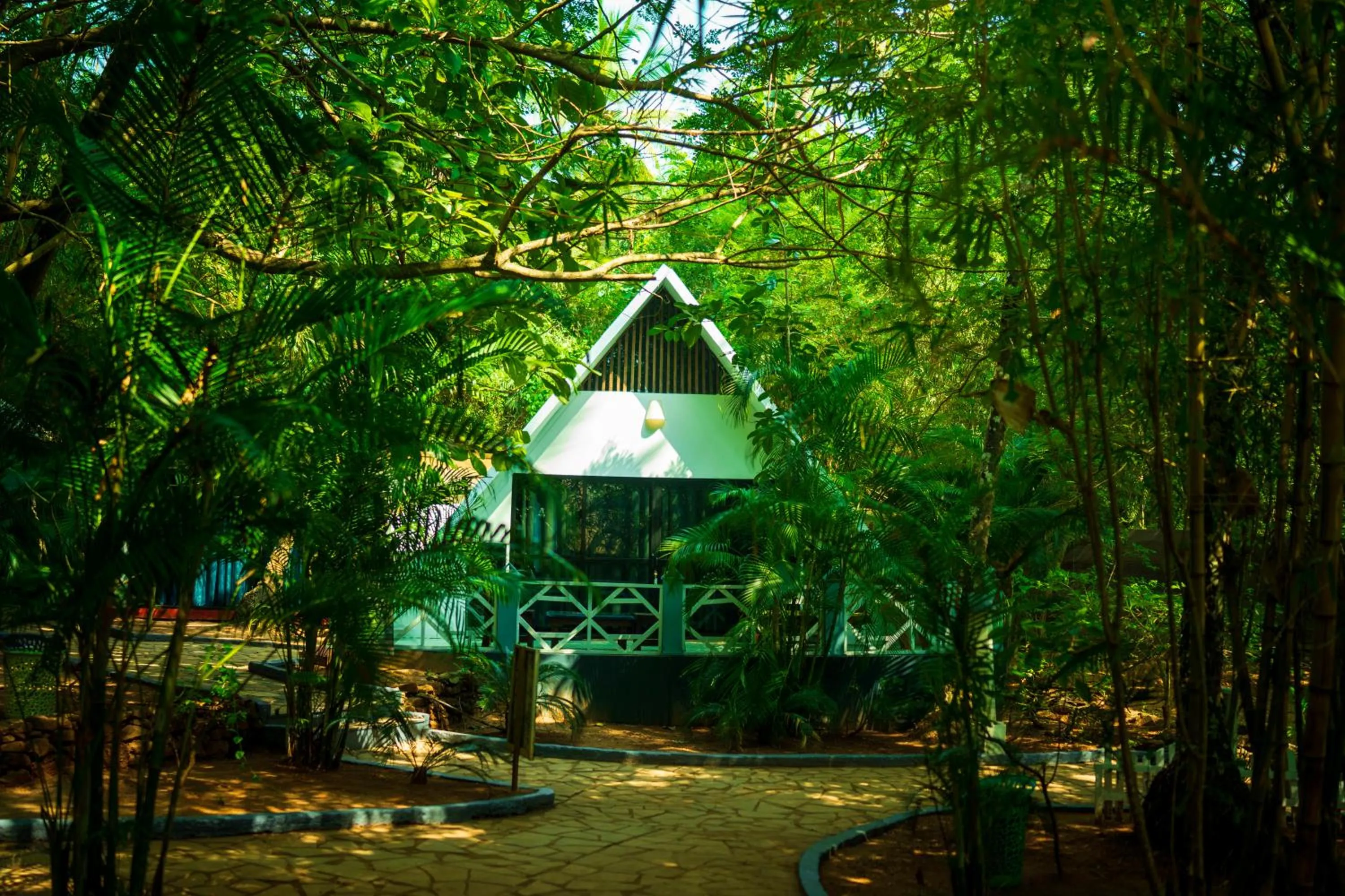 View (from property/room) in La La Land Resort Goa