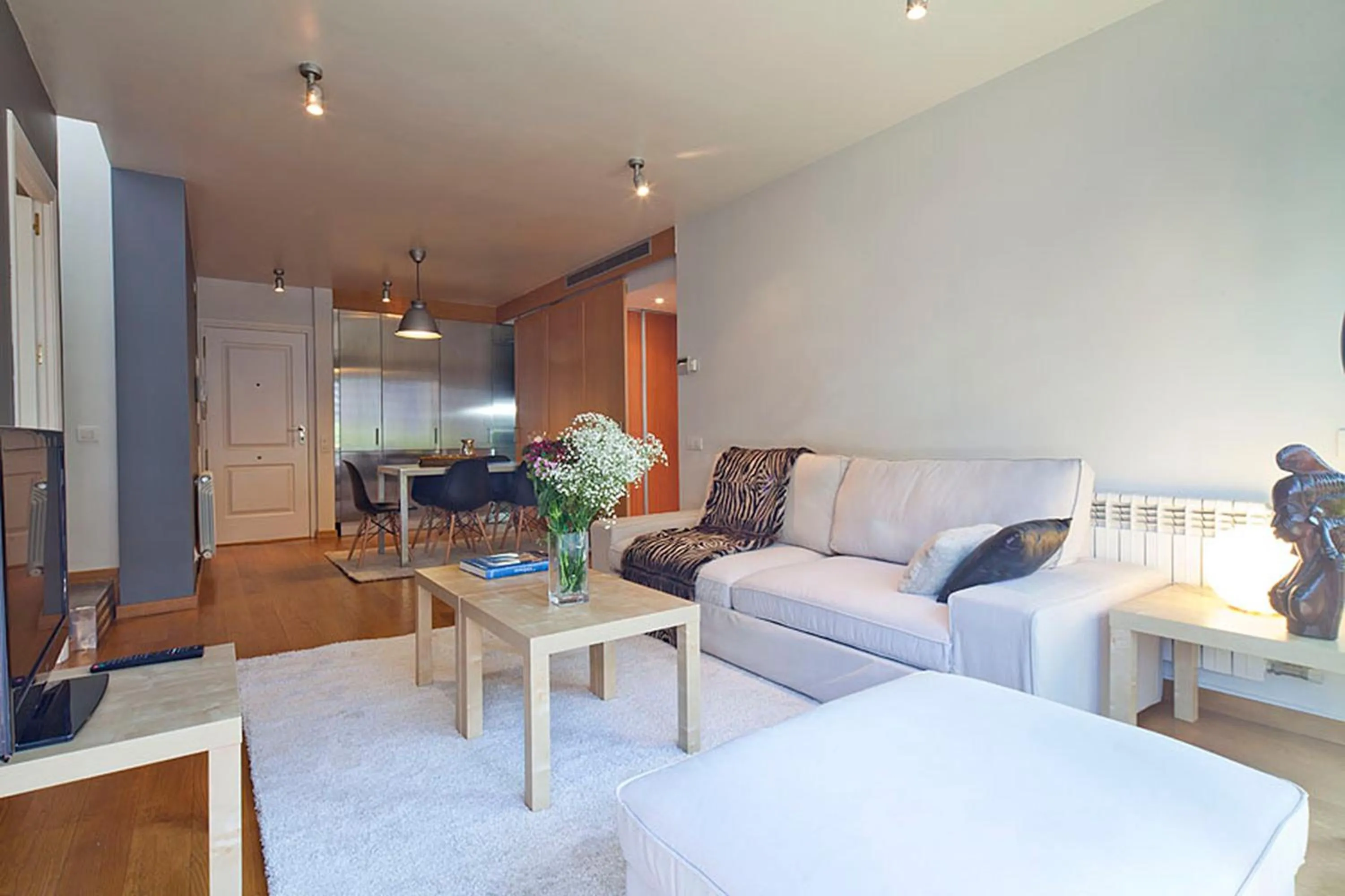 TV and multimedia in Attic Apartment in Bonanova with Private Terrace