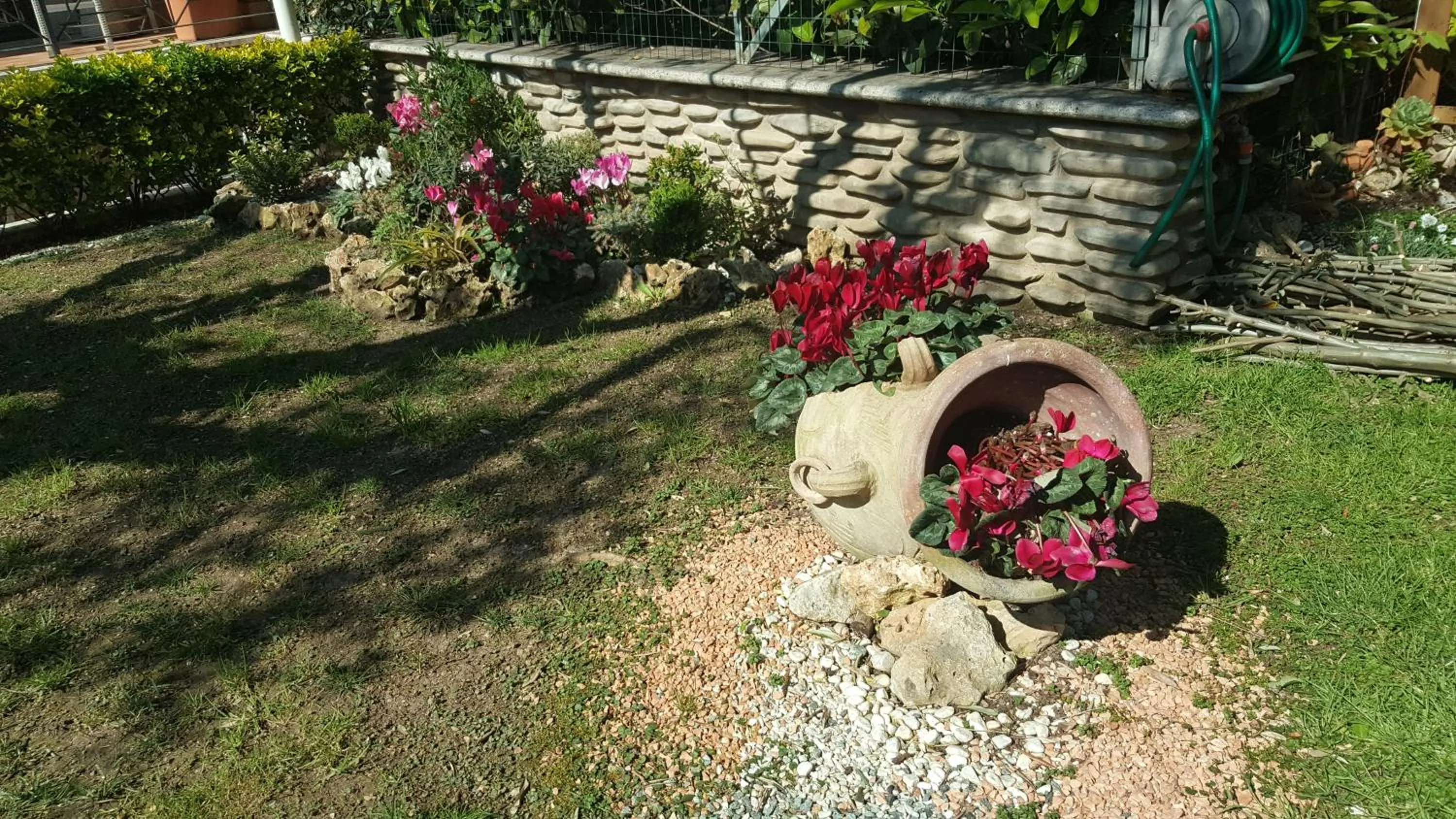 Garden in Aurelia Garden Gold B&B