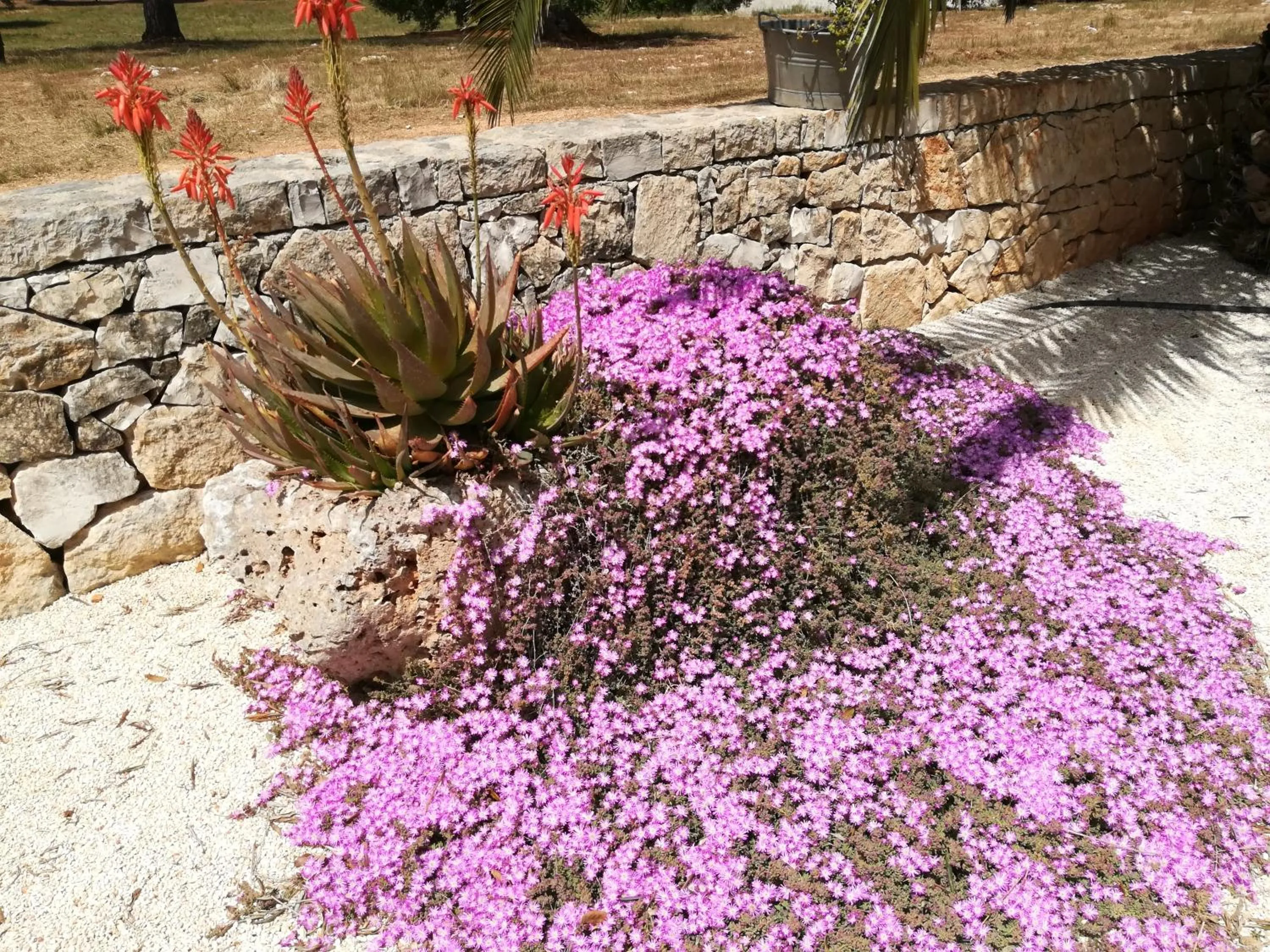 Floor plan in B&B Demetra