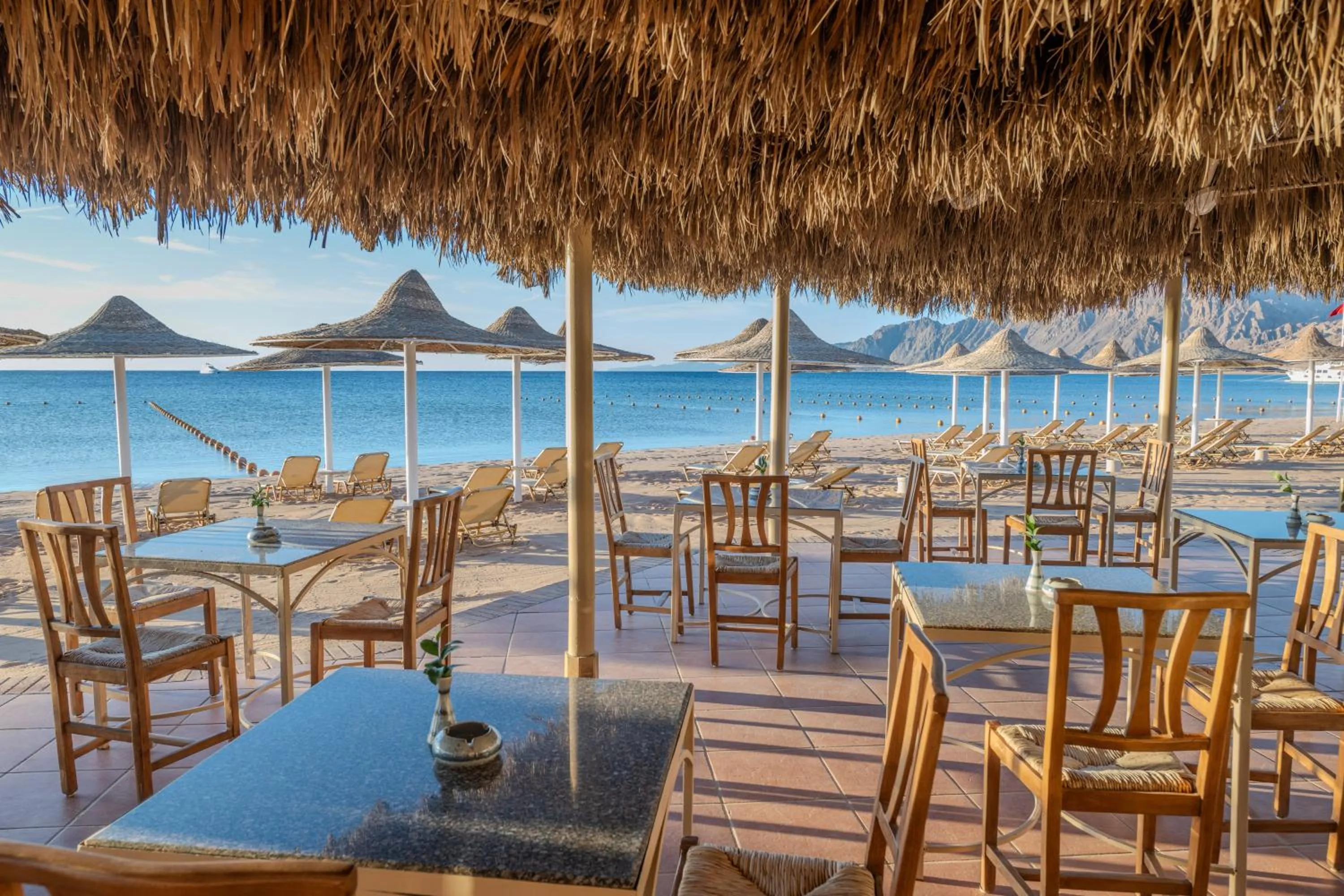 Restaurant/places to eat in JAZ Dahabeya