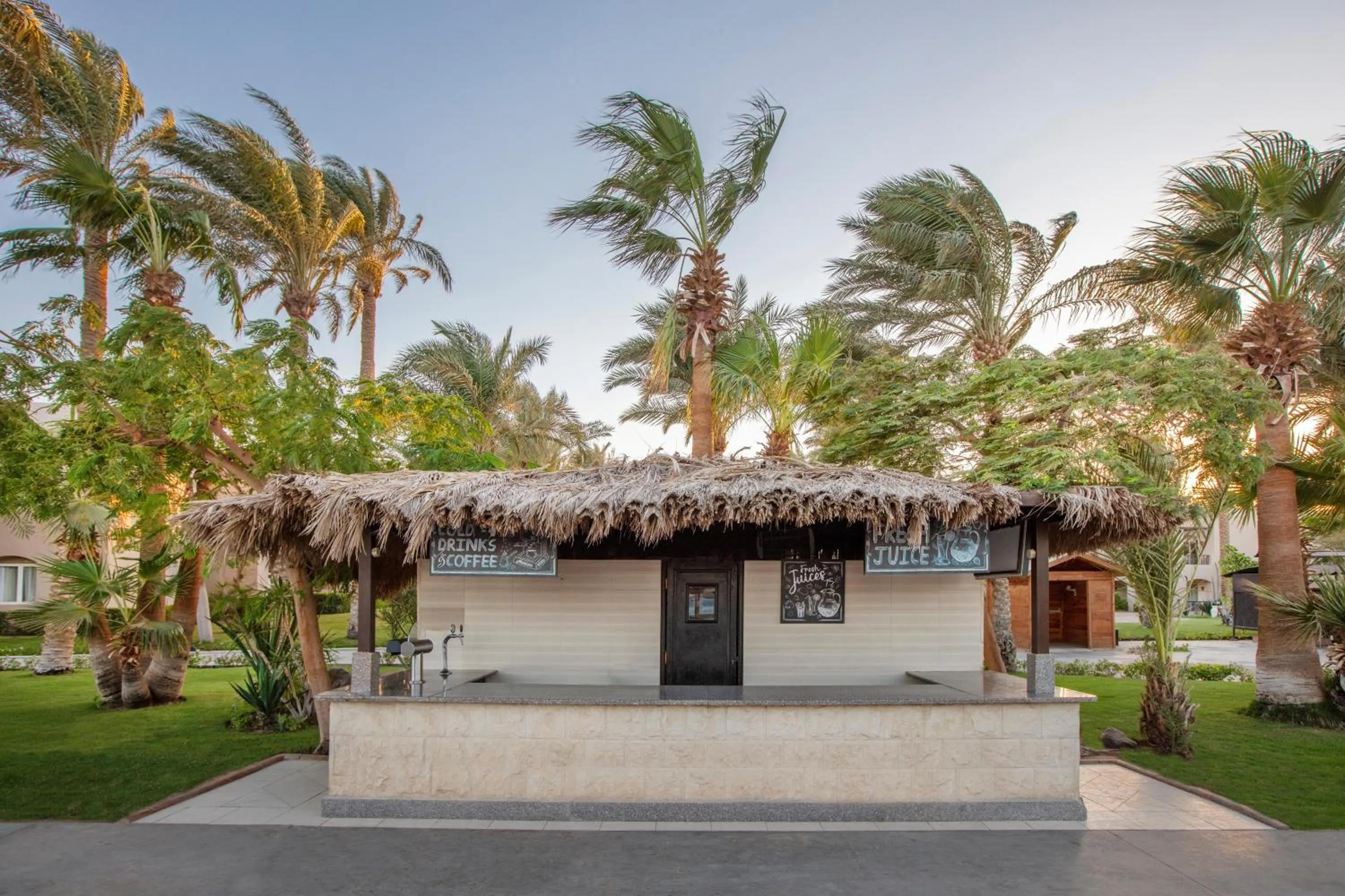 Lounge or bar in JAZ Makadi Oasis Resort