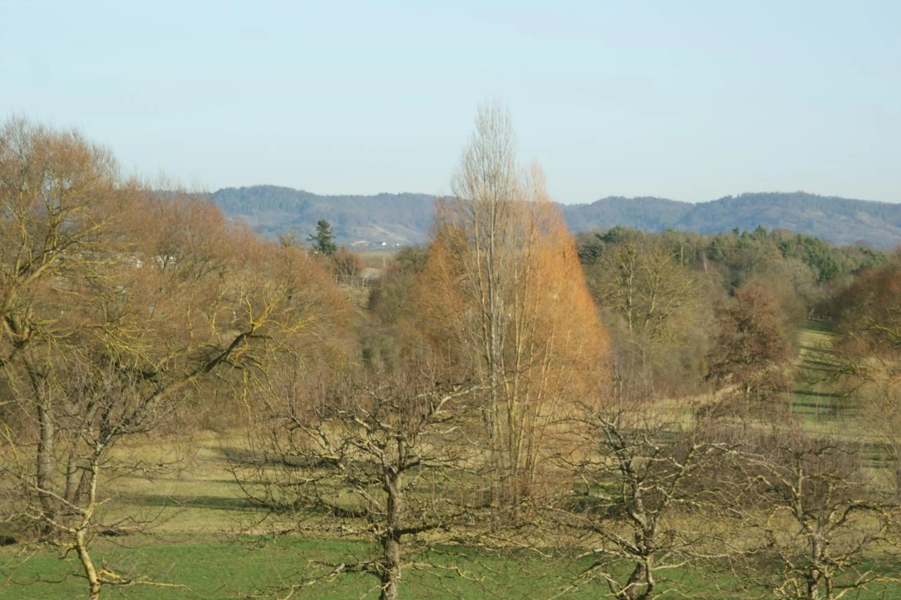 Natural landscape in Businessapart Stuttgart