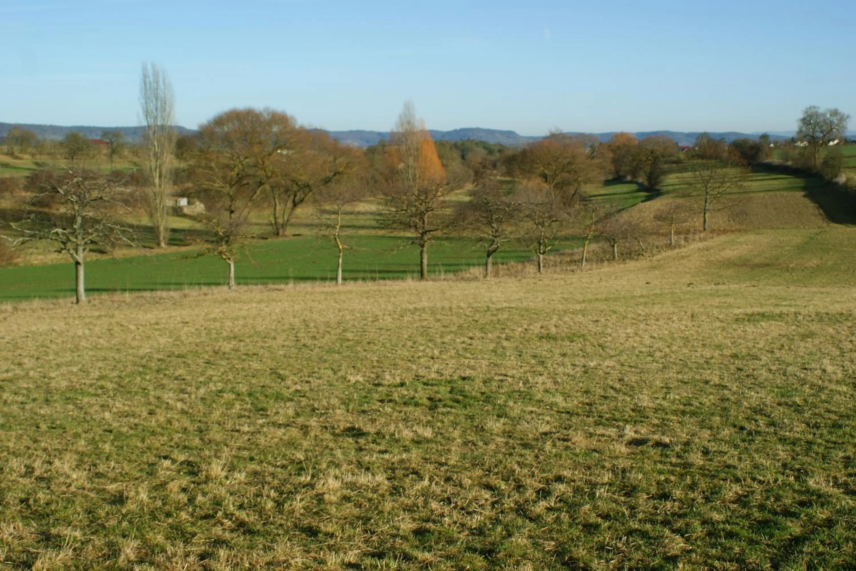 Natural landscape in Businessapart Stuttgart