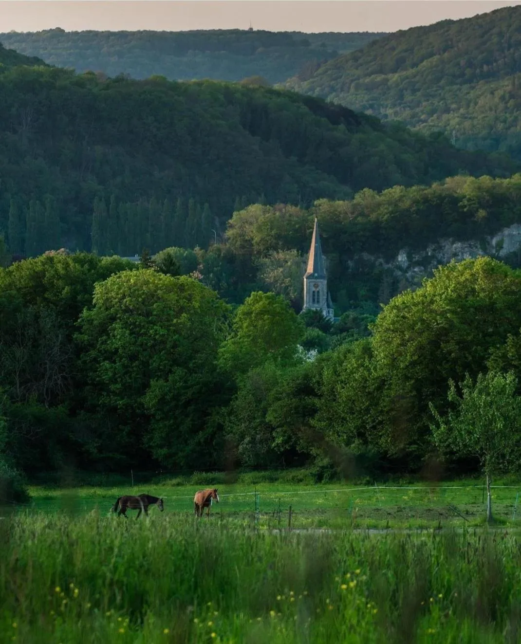Escale Chambre d'hôtes Au coeur du vieux Profondeville entre Namur et Dinant