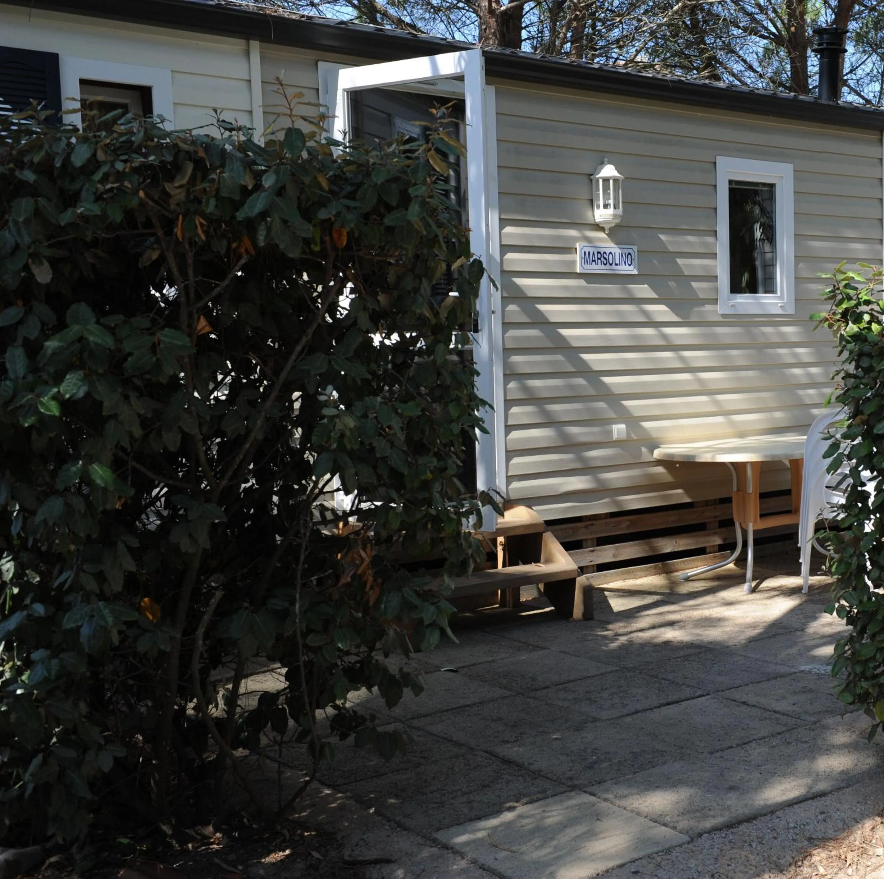 Photo of the whole room in Camping International