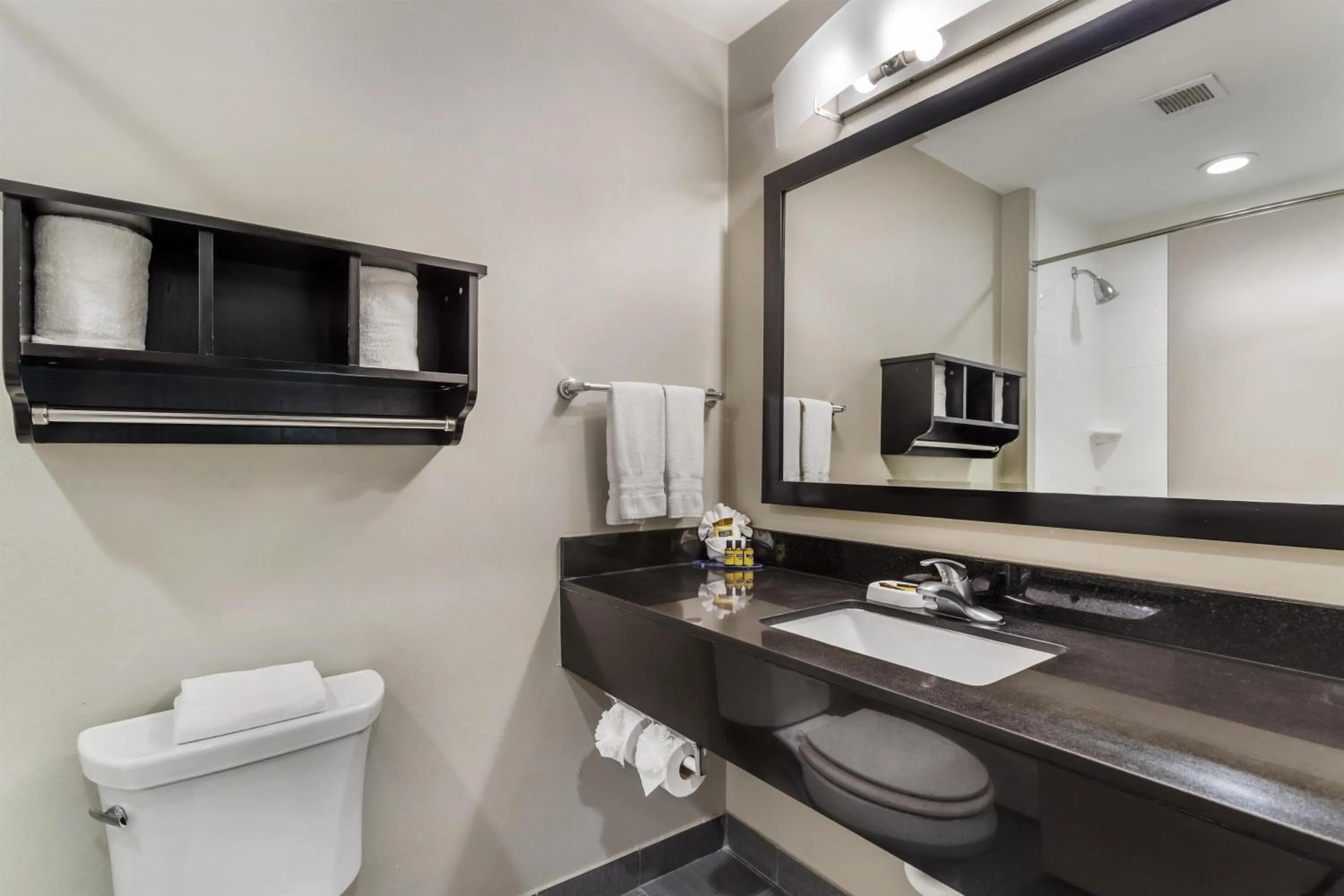 Bathroom in Best Western Plus Laredo Inn & Suites