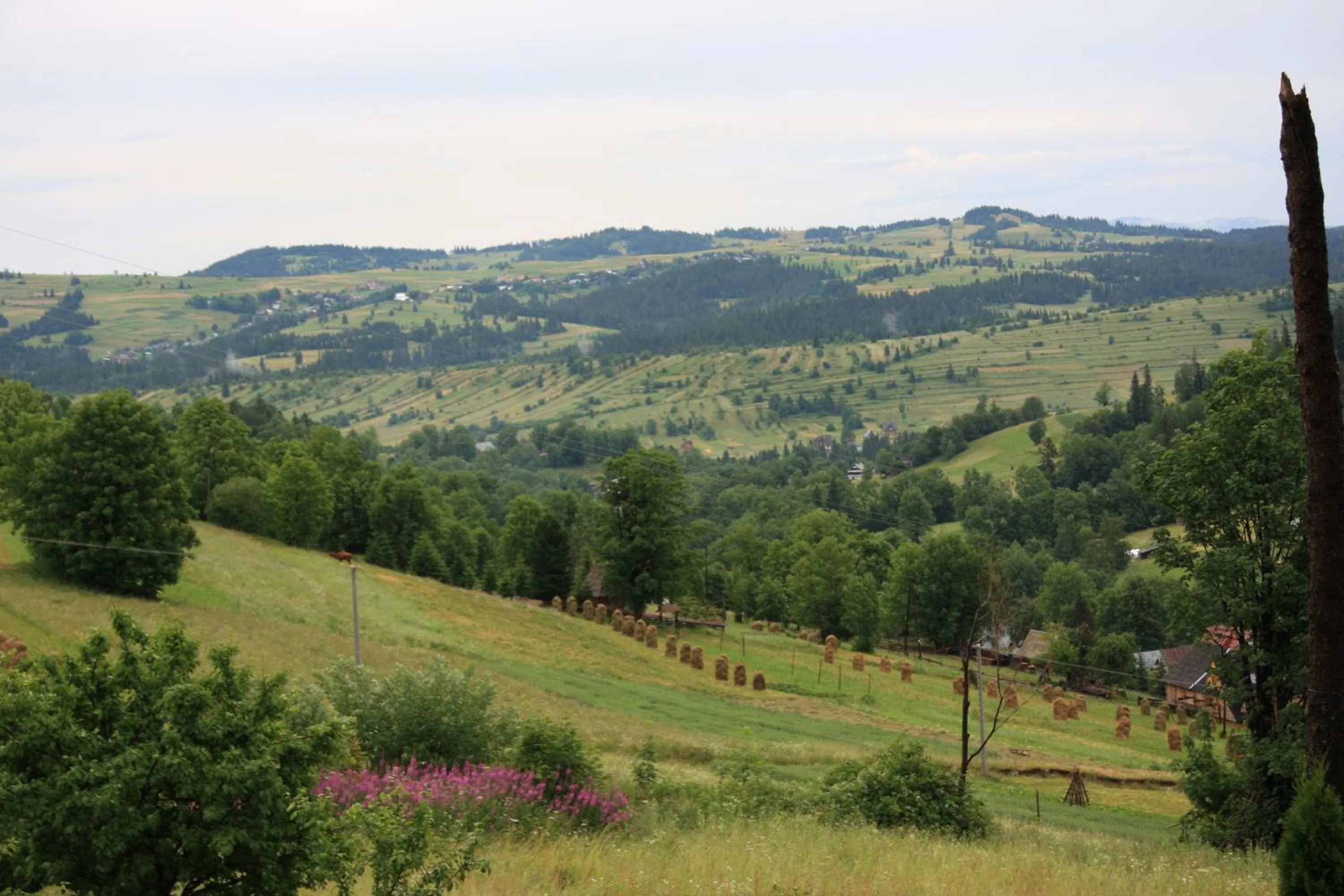 Natural landscape in Siumno Izba B&B Brzegi