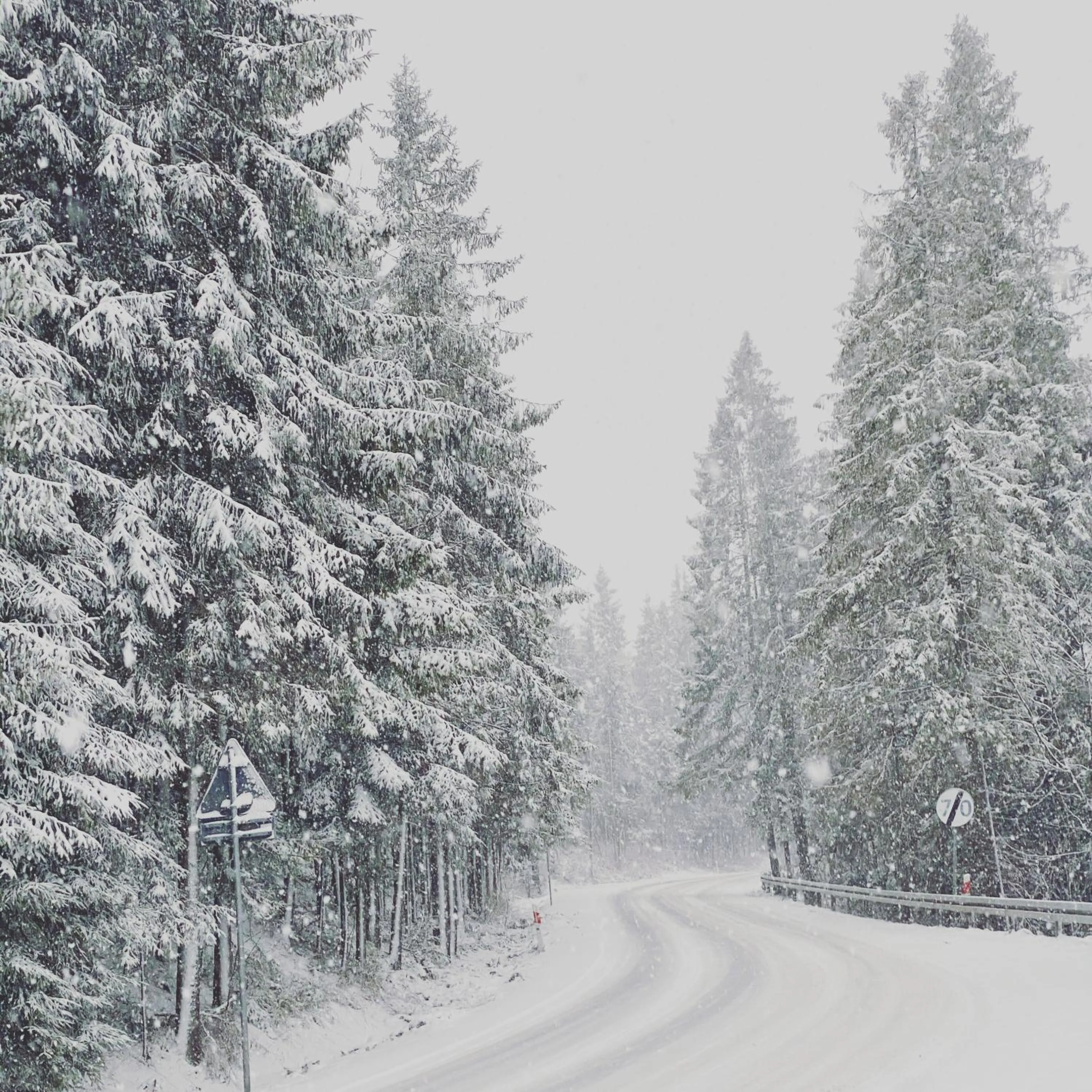 Natural landscape in Siumno Izba B&B Brzegi