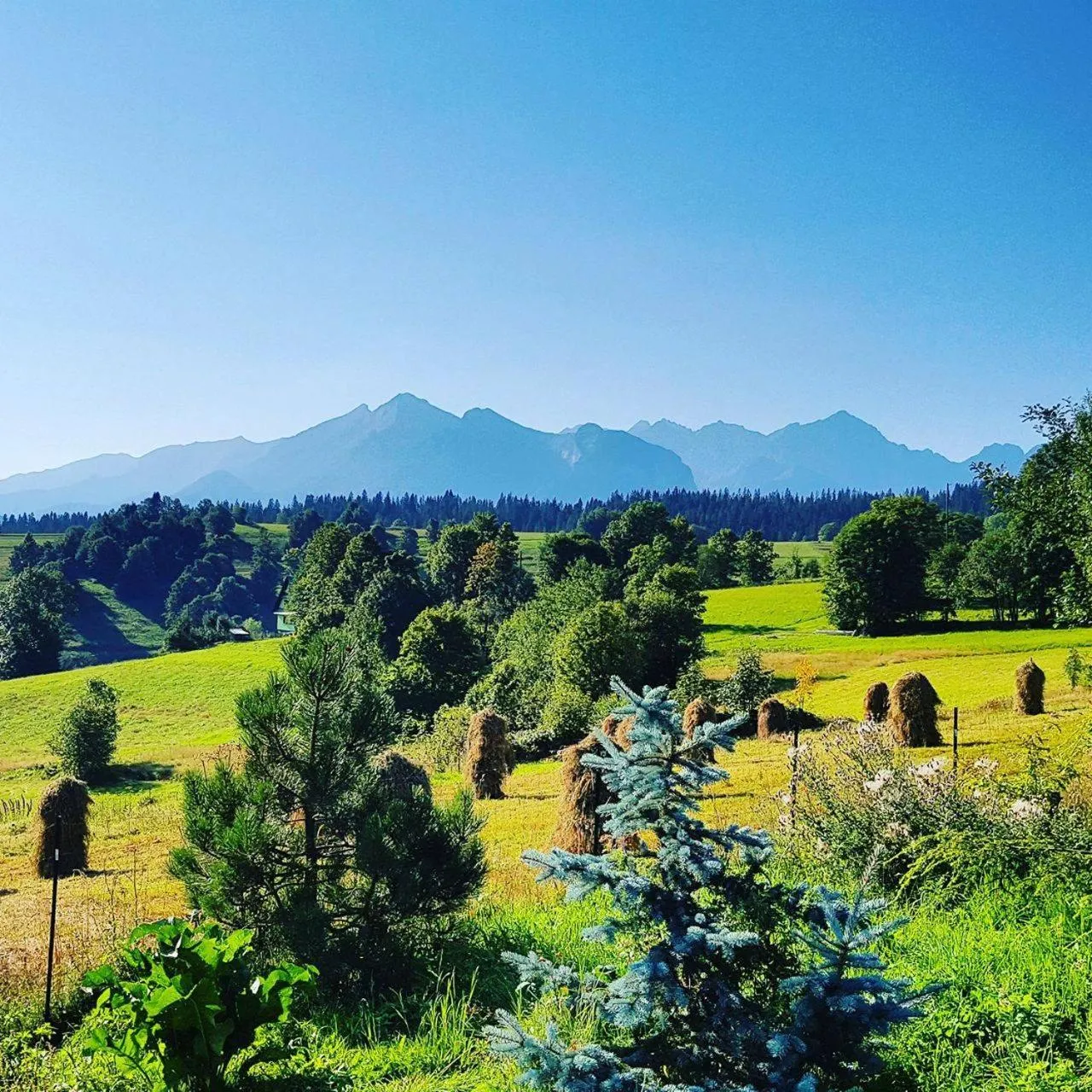 Natural landscape in Siumno Izba B&B Brzegi