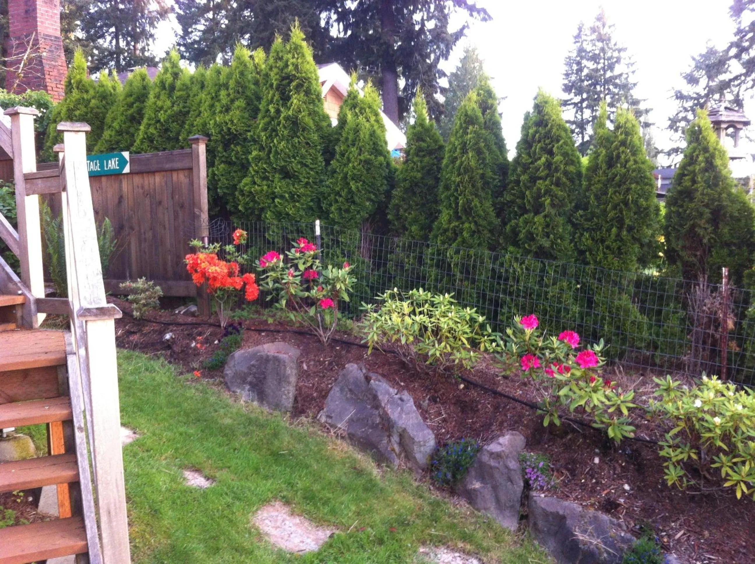 Garden view in Cottage Lake Bed and Breakfast