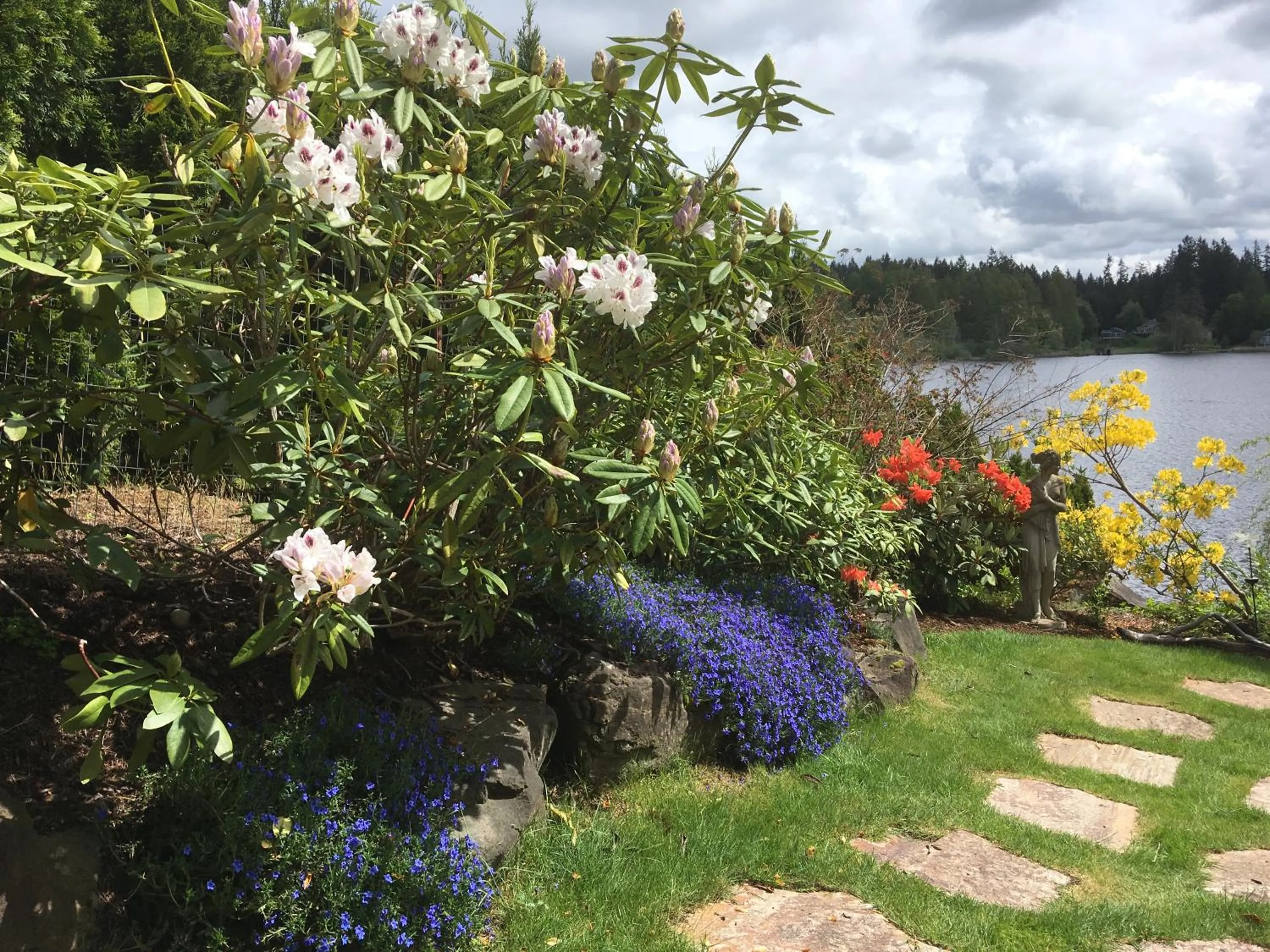 Natural landscape in Cottage Lake Bed and Breakfast