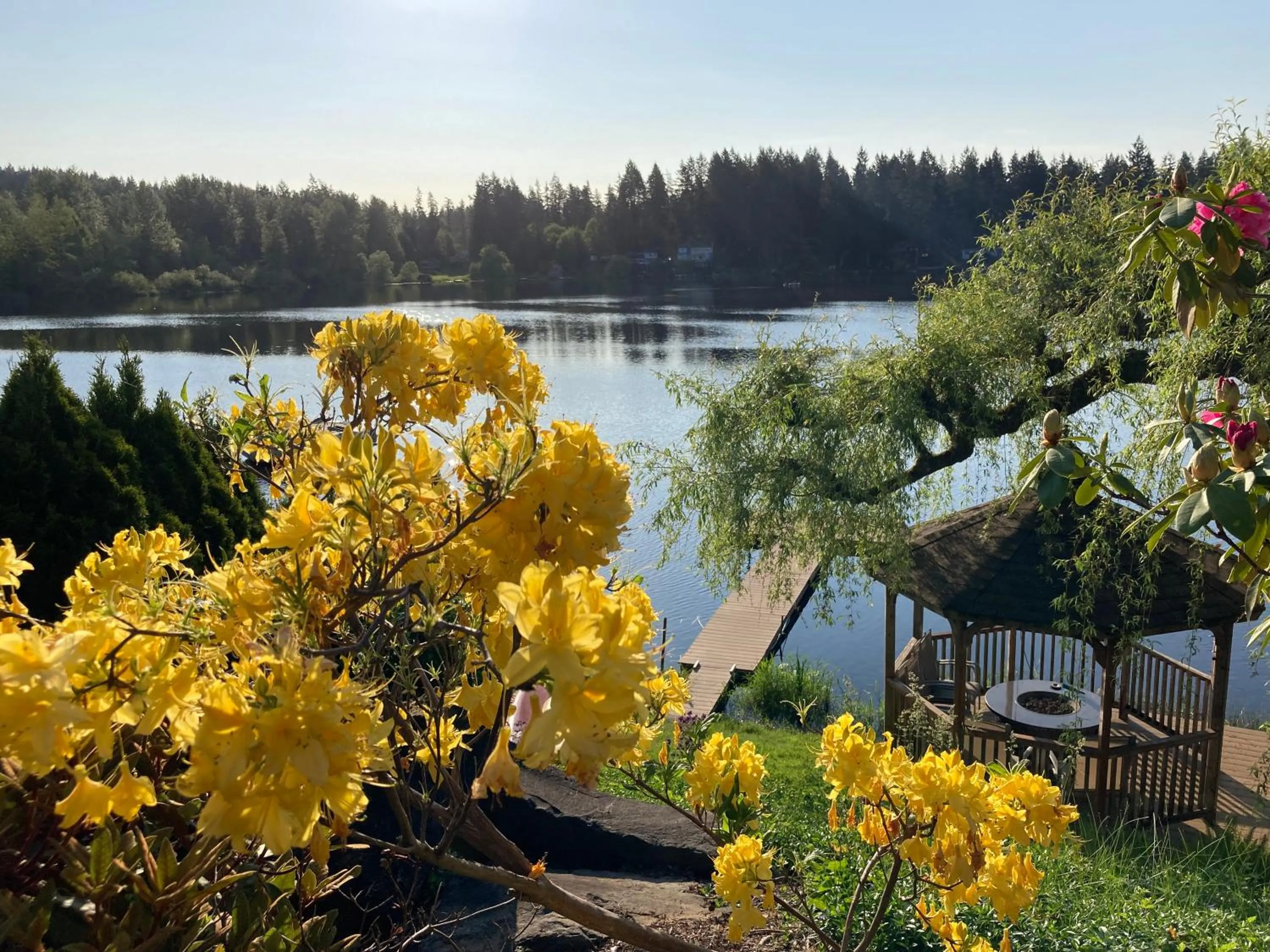 Natural landscape in Cottage Lake Bed and Breakfast
