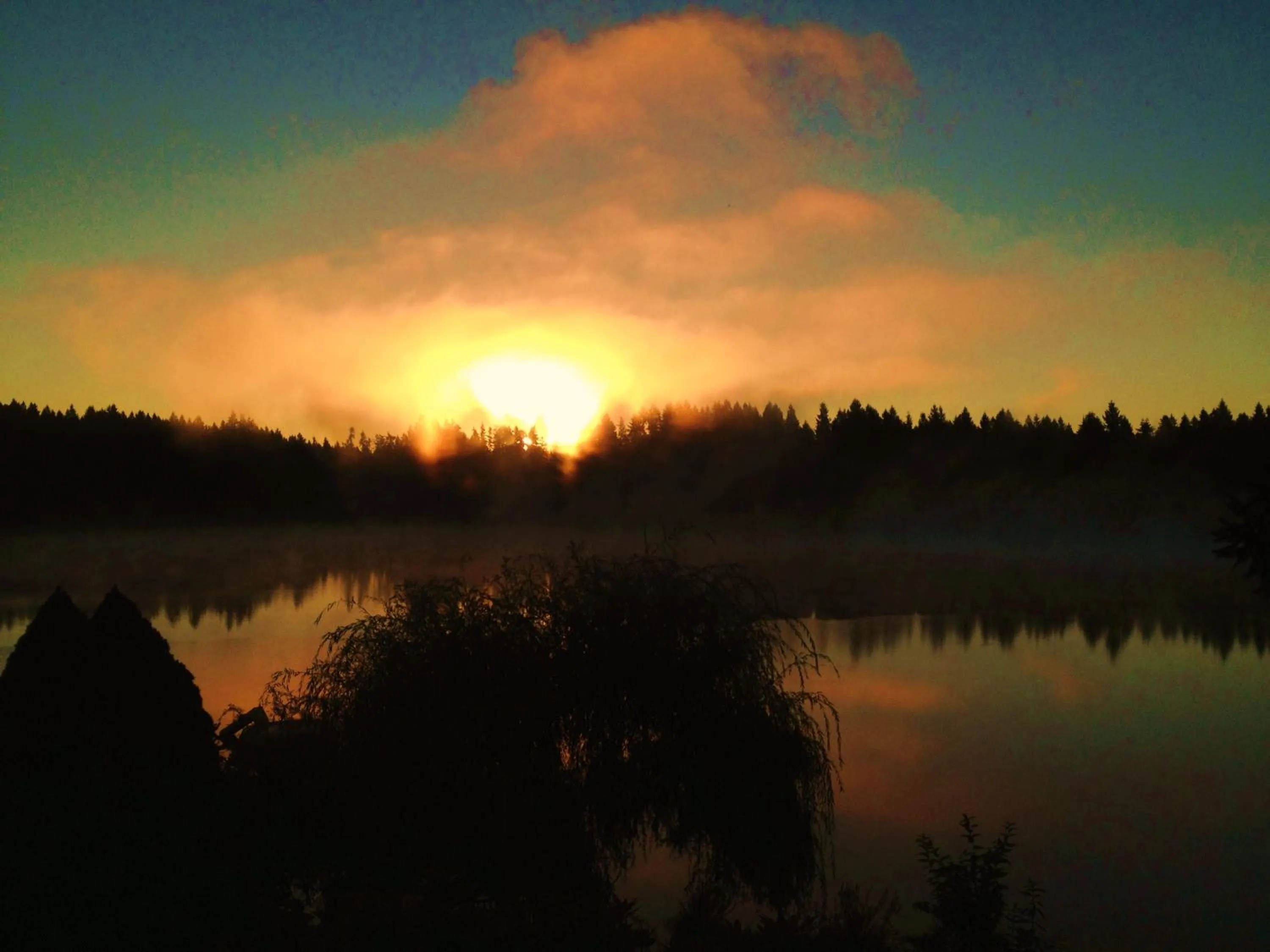 Lake view in Cottage Lake Bed and Breakfast