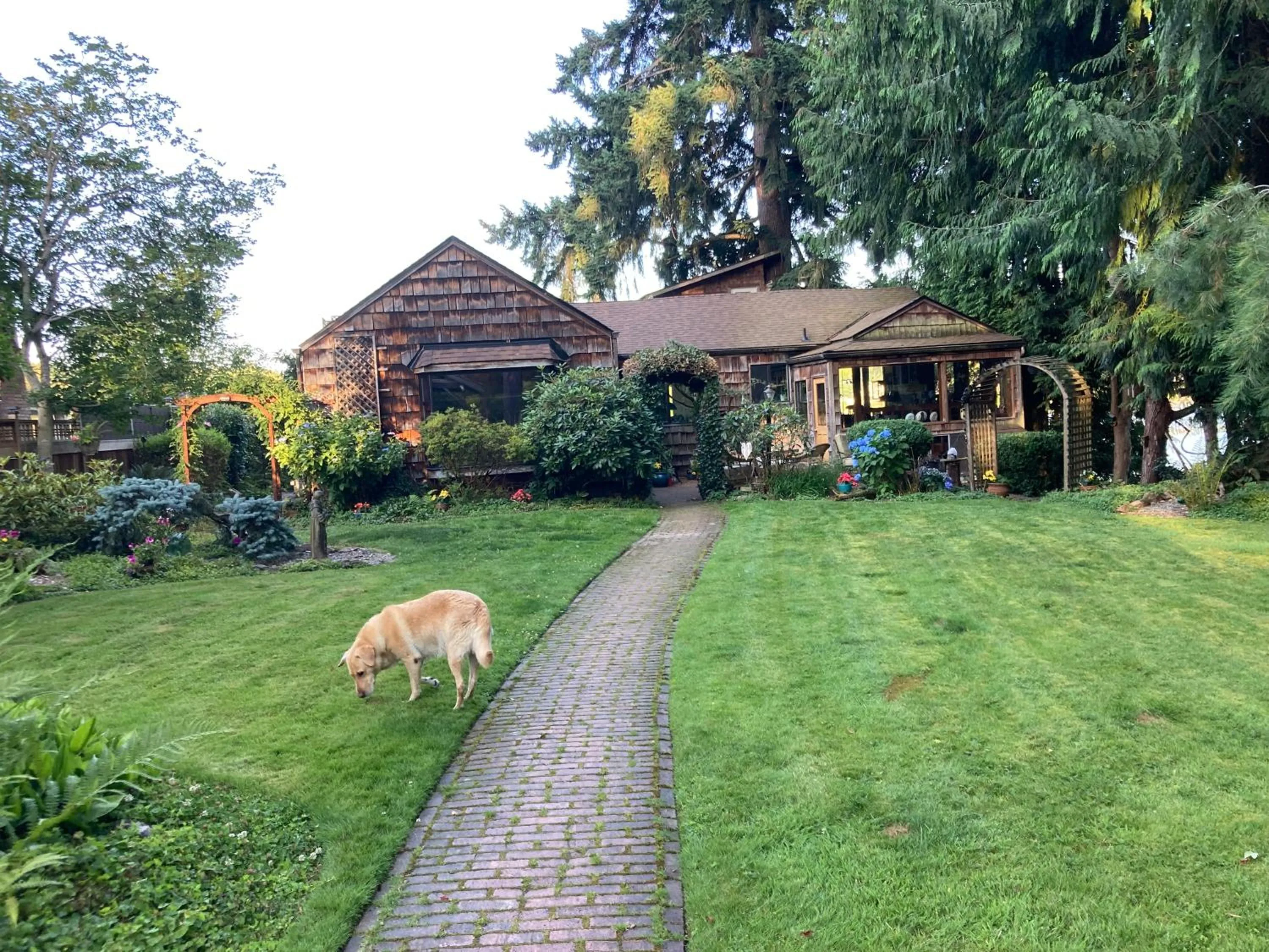 Cottage Lake Bed and Breakfast