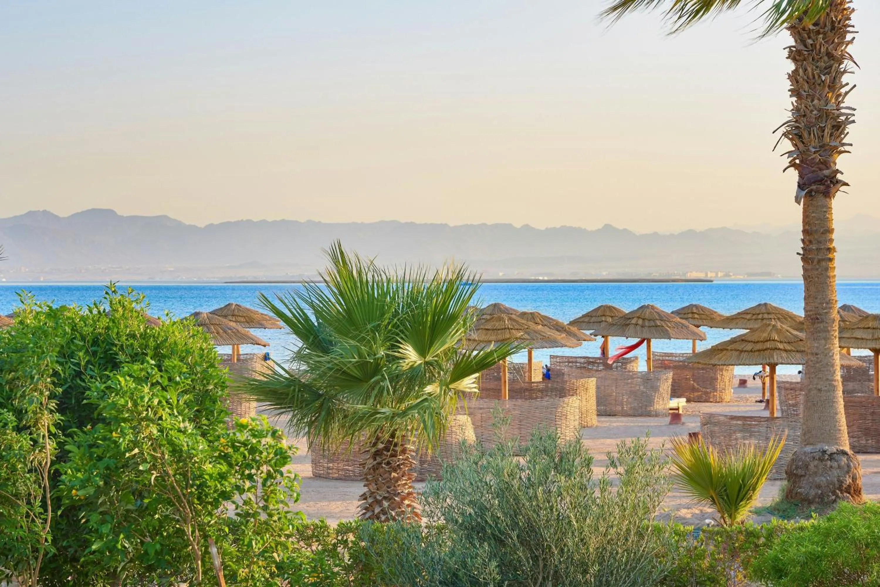 Beach in Sheraton Soma Bay Resort