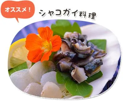 Food close-up in Uminoie Painukaji