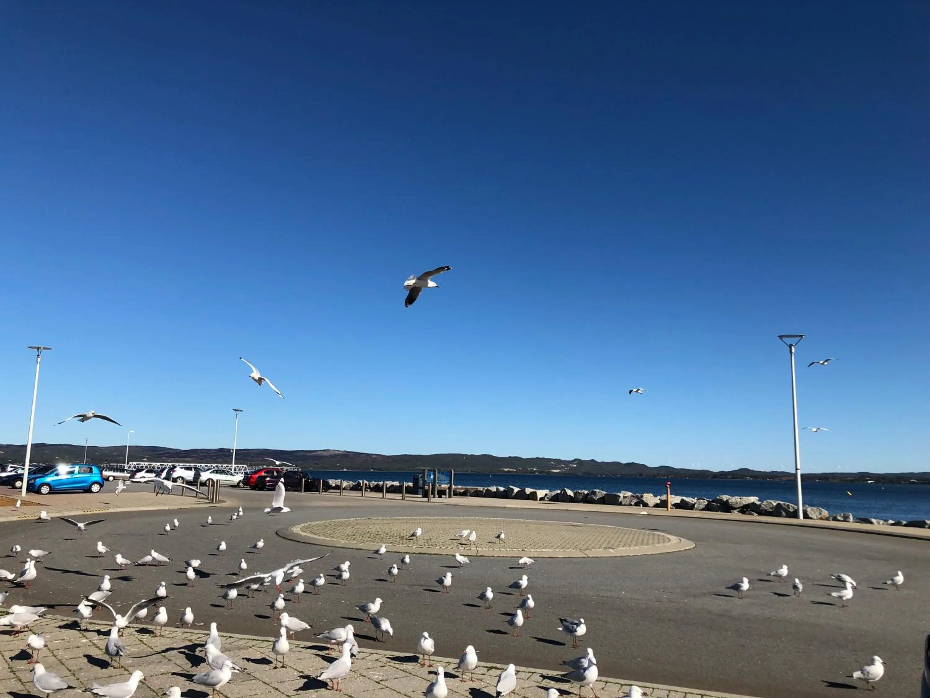 Albany Foreshore Guest House
