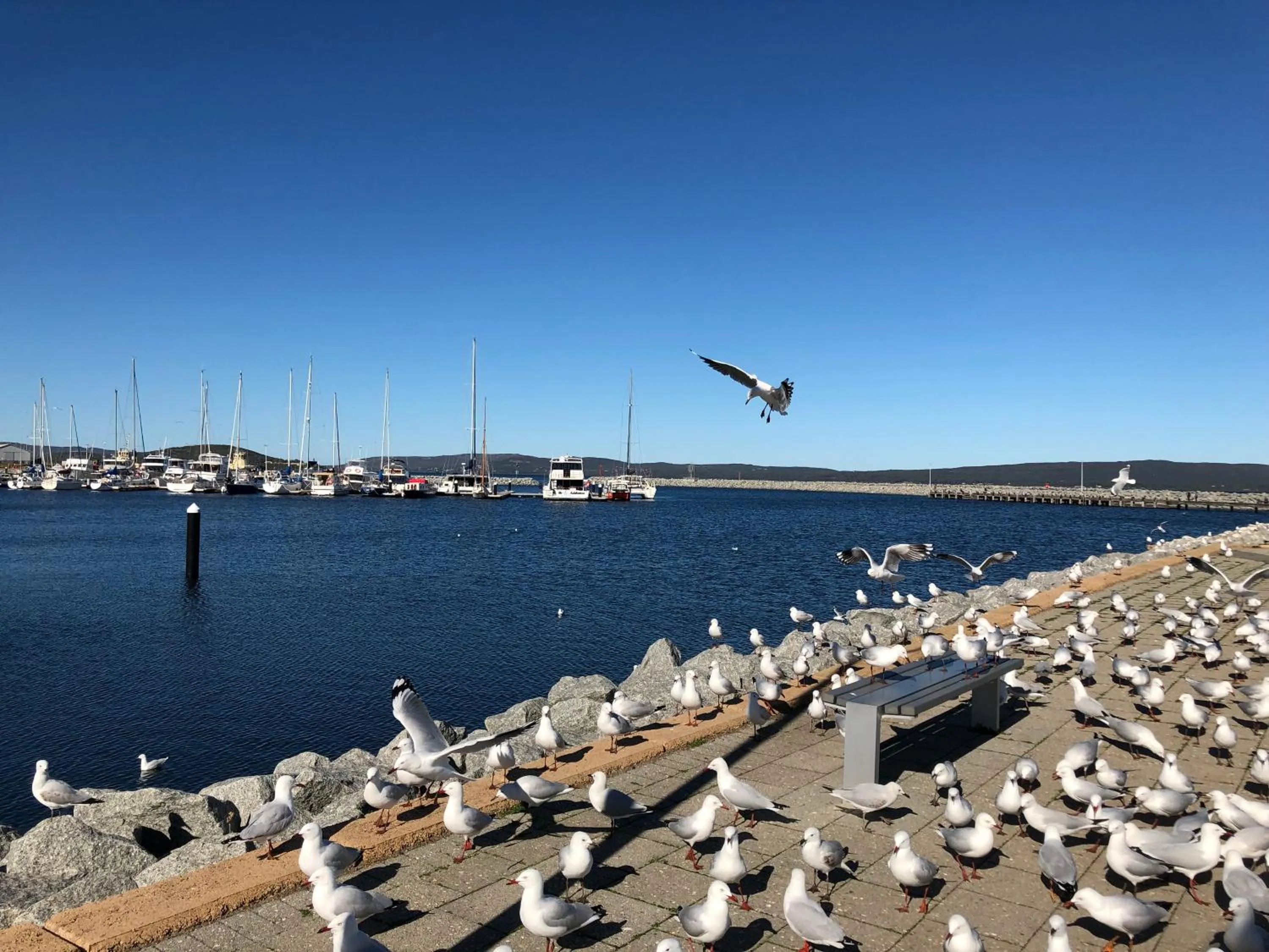 Albany Foreshore Guest House