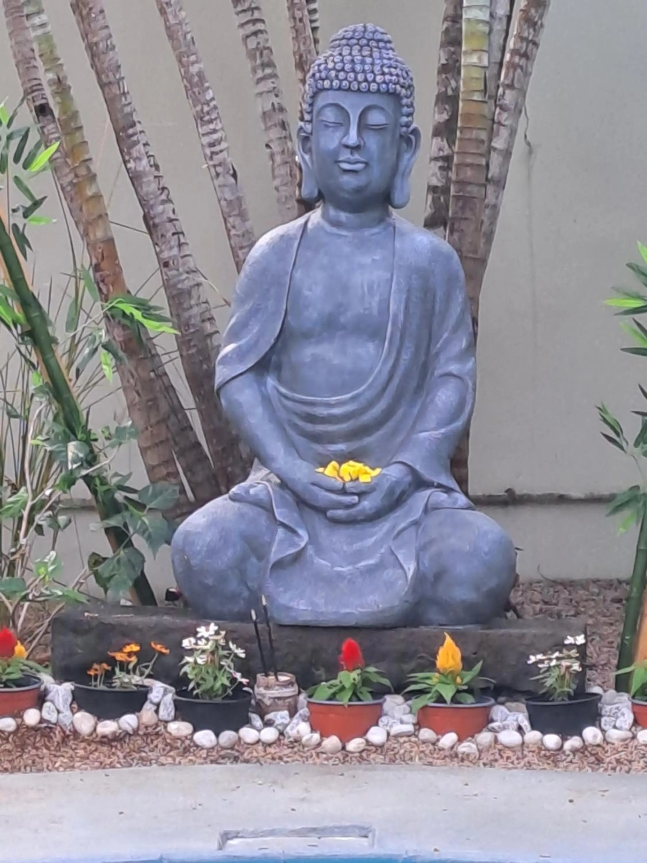 Garden view in Explora Prestige