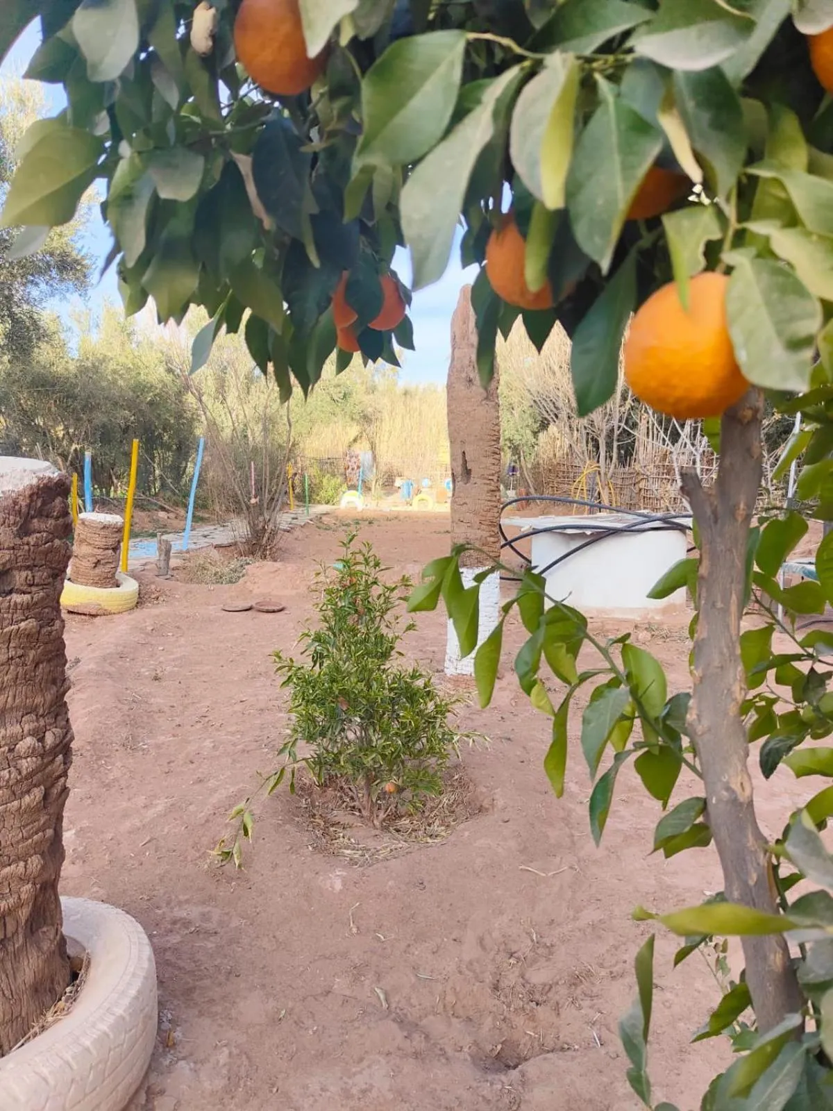 Garden in Le Retour au calme Maison d'hôtes