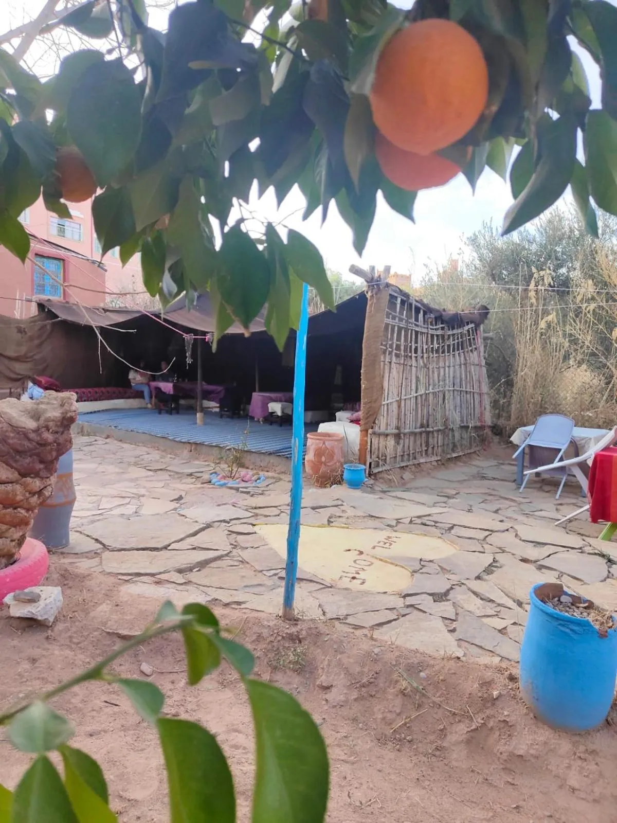 Garden in Le Retour au calme Maison d'hôtes