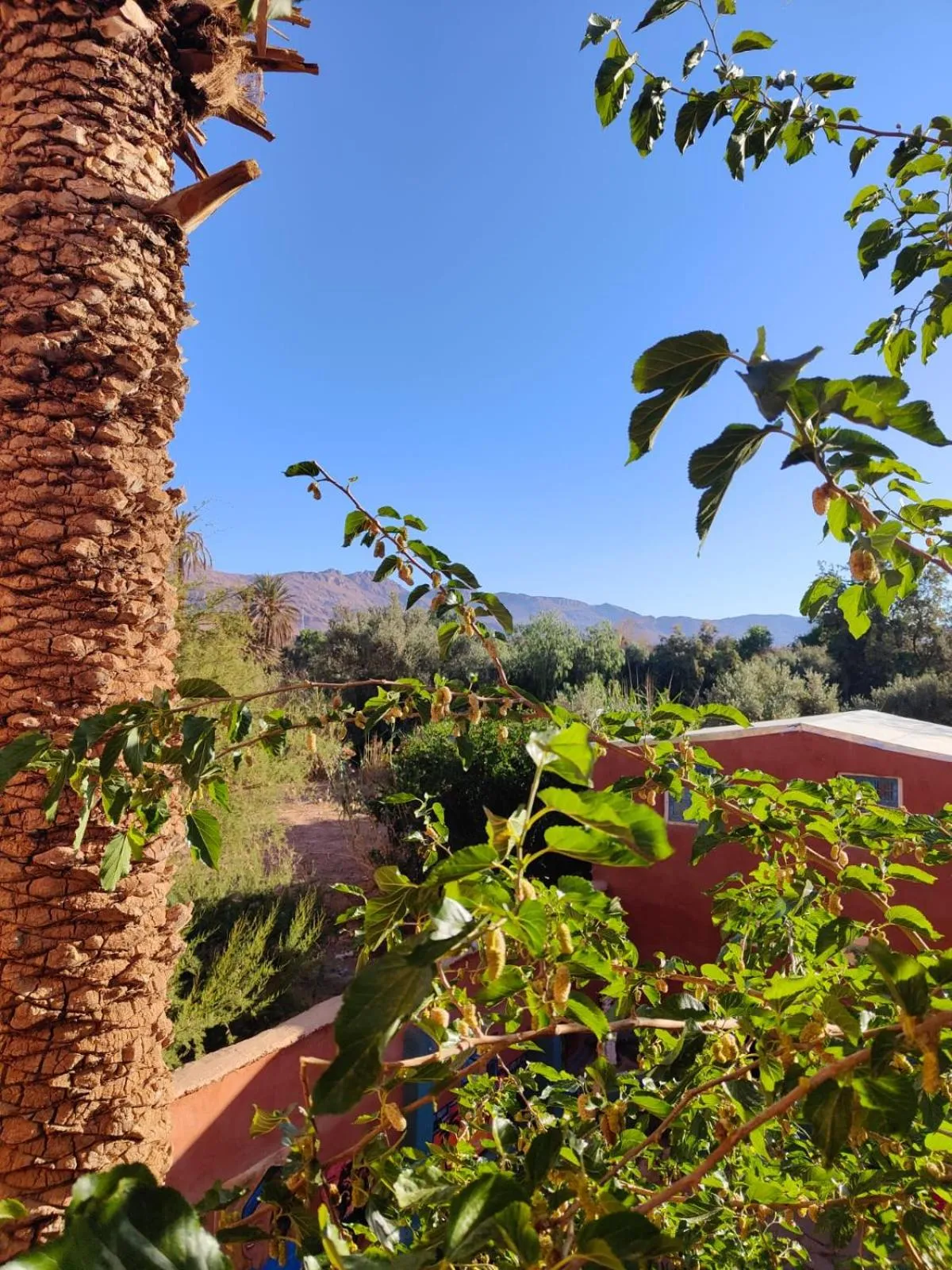 View (from property/room) in Le Retour au calme Maison d'hôtes