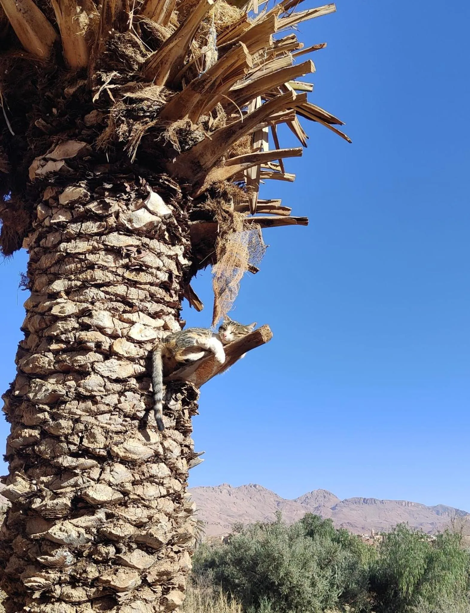 Property building in Le Retour au calme Maison d'hôtes
