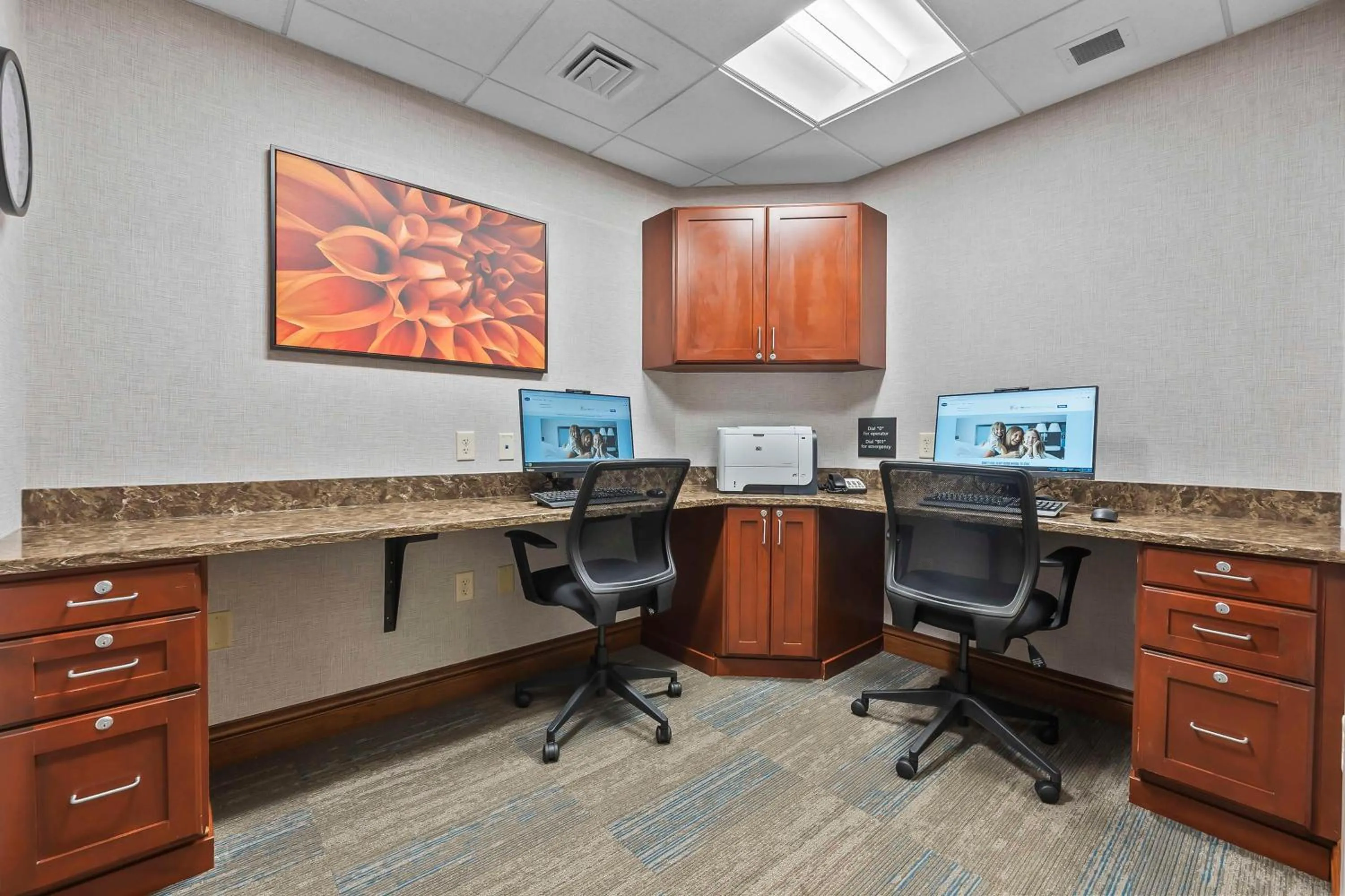 Business facilities in Hampton Inn Cape Girardeau I-55 East, MO