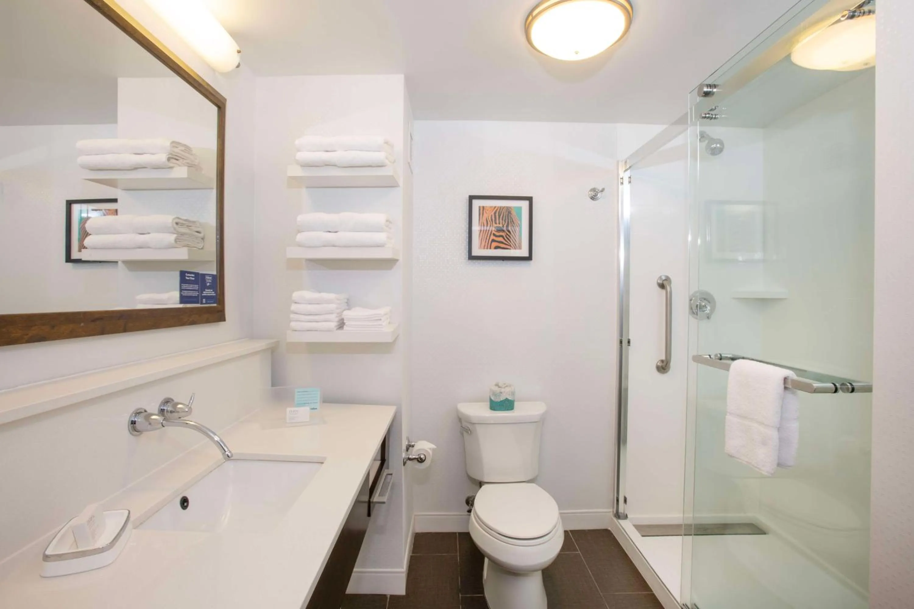 Bathroom in Hampton Inn & Suites - Cincinnati/Kenwood, OH