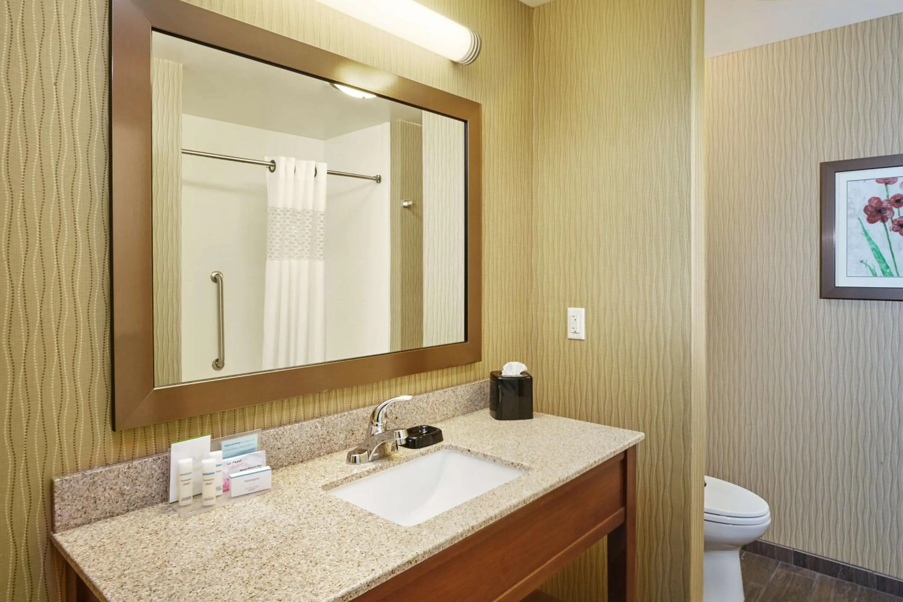 Bathroom in Hampton Inn & Suites Milwaukee/Franklin