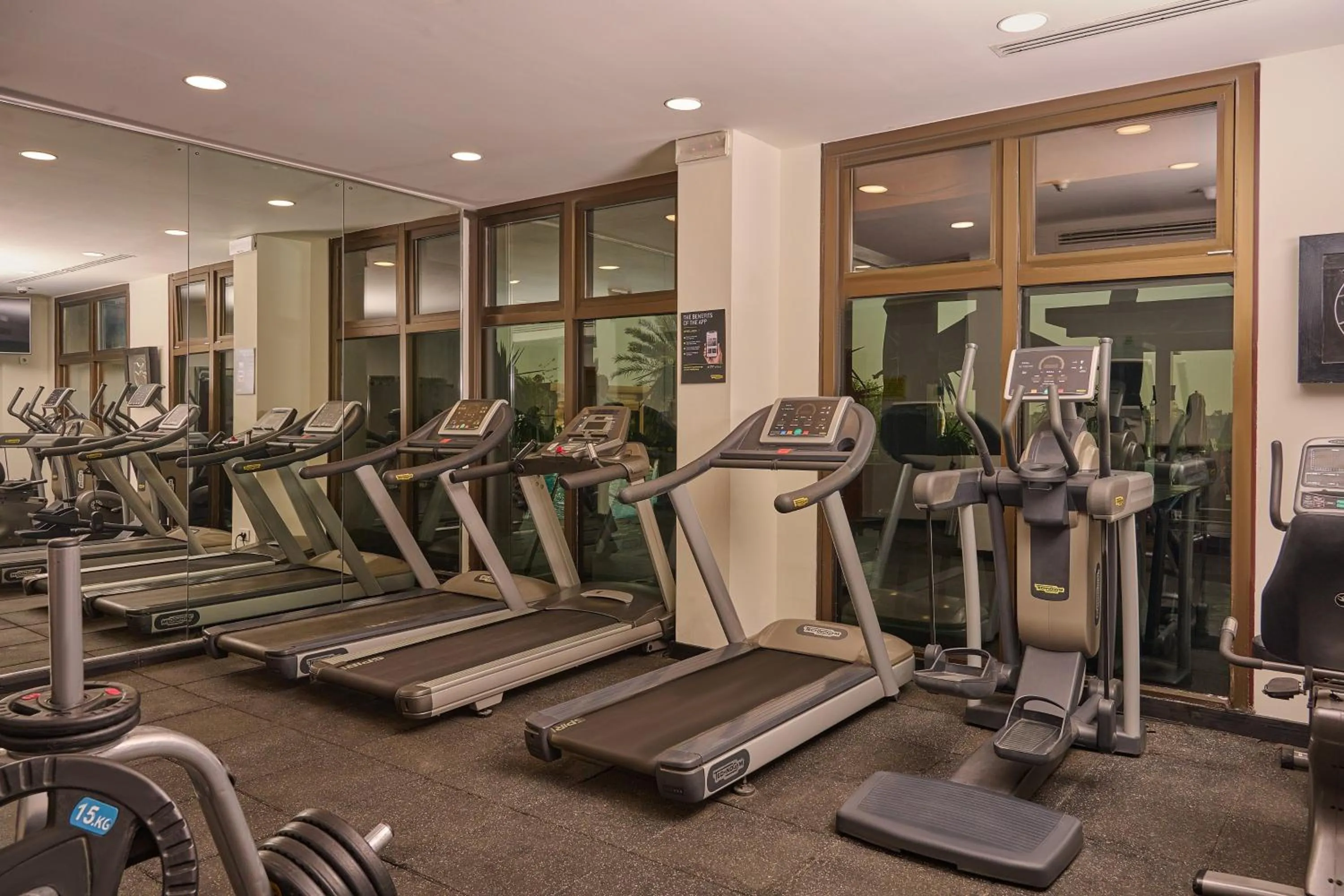 Fitness centre/facilities in Holiday Inn Cairo Maadi by IHG
