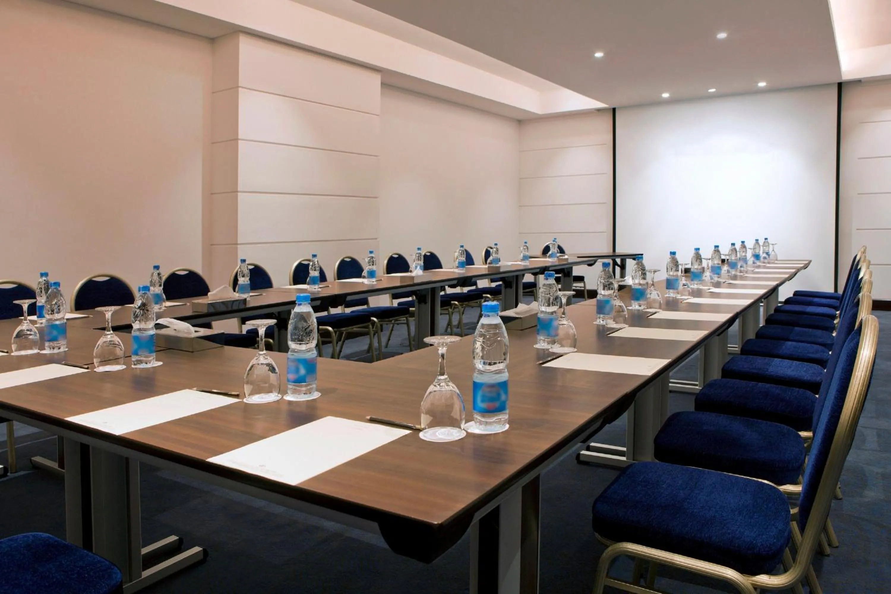 Meeting/conference room in Holiday Inn Cairo Maadi by IHG