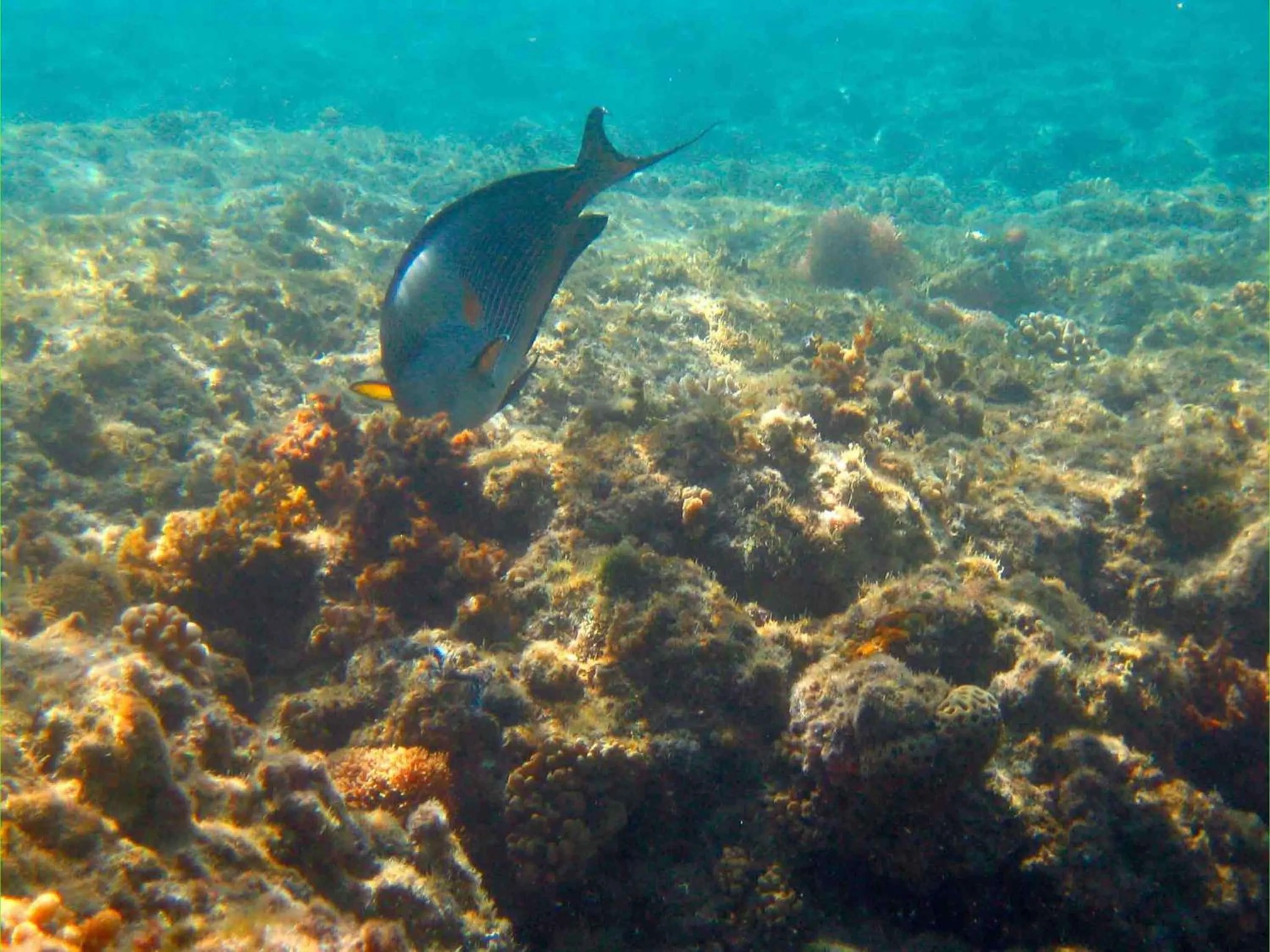 Other in Mercure Hurghada Hotel