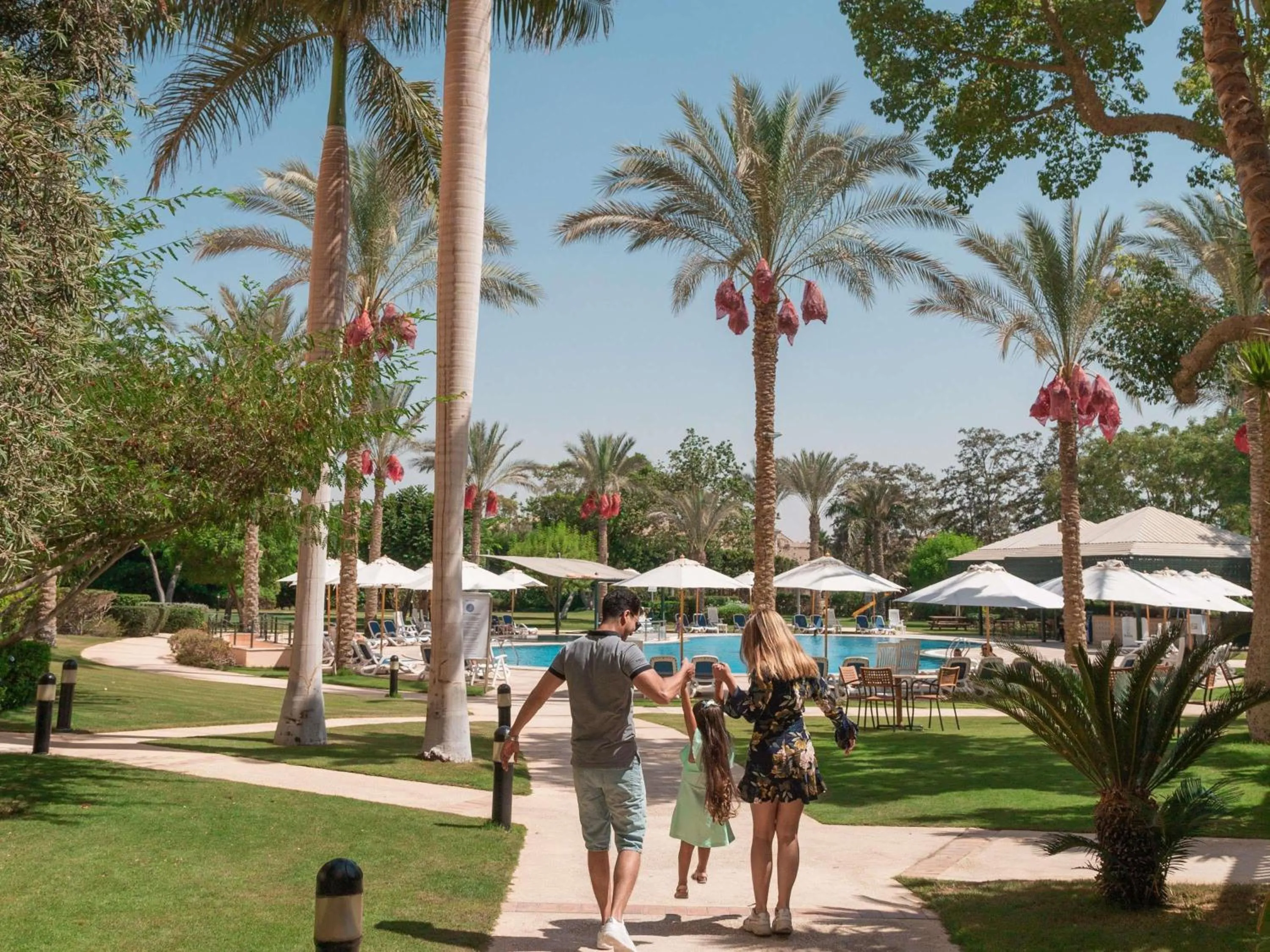 Other in Novotel Cairo 6th Of October