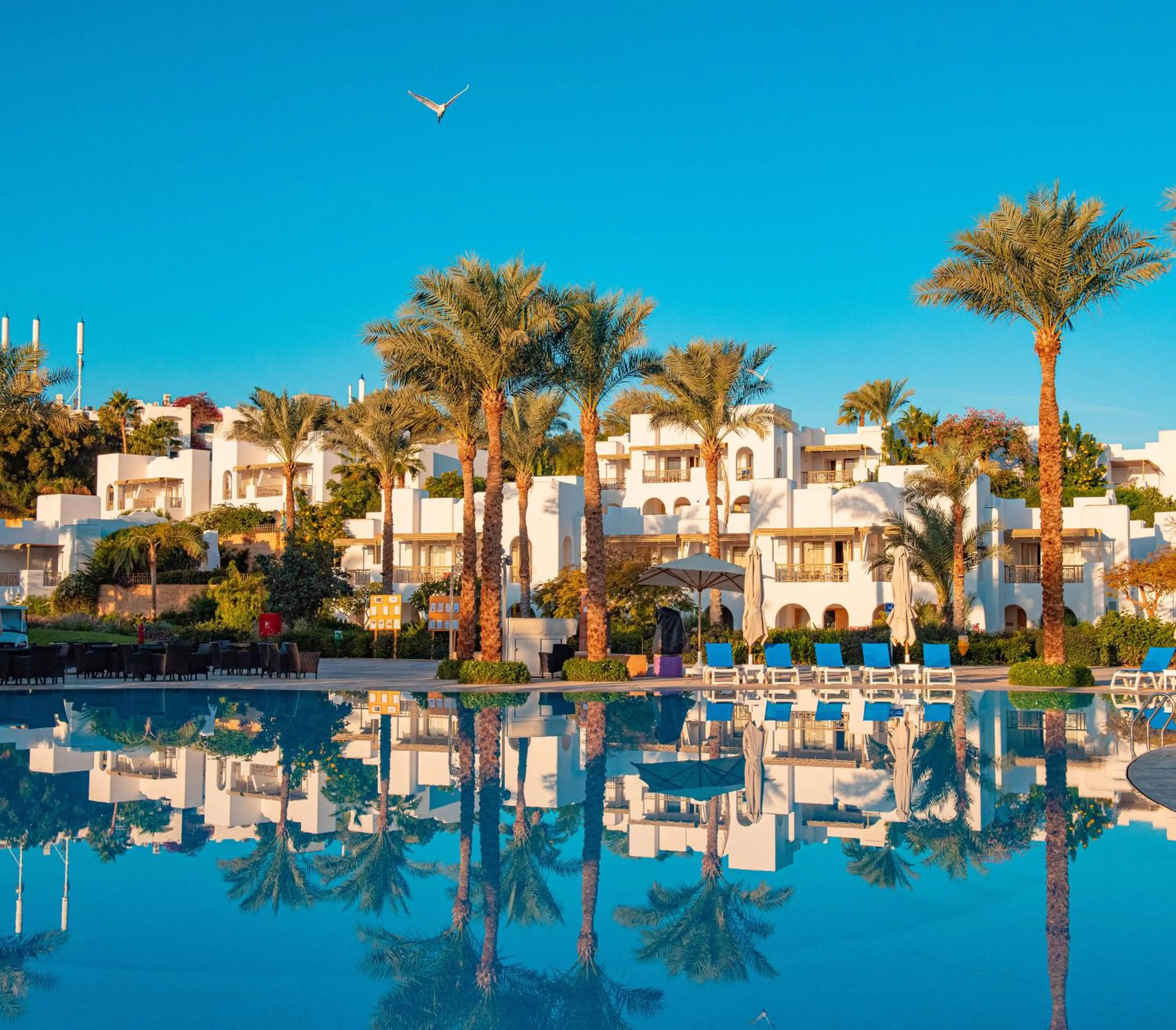 Swimming pool in Hotel Novotel Sharm El-Sheikh