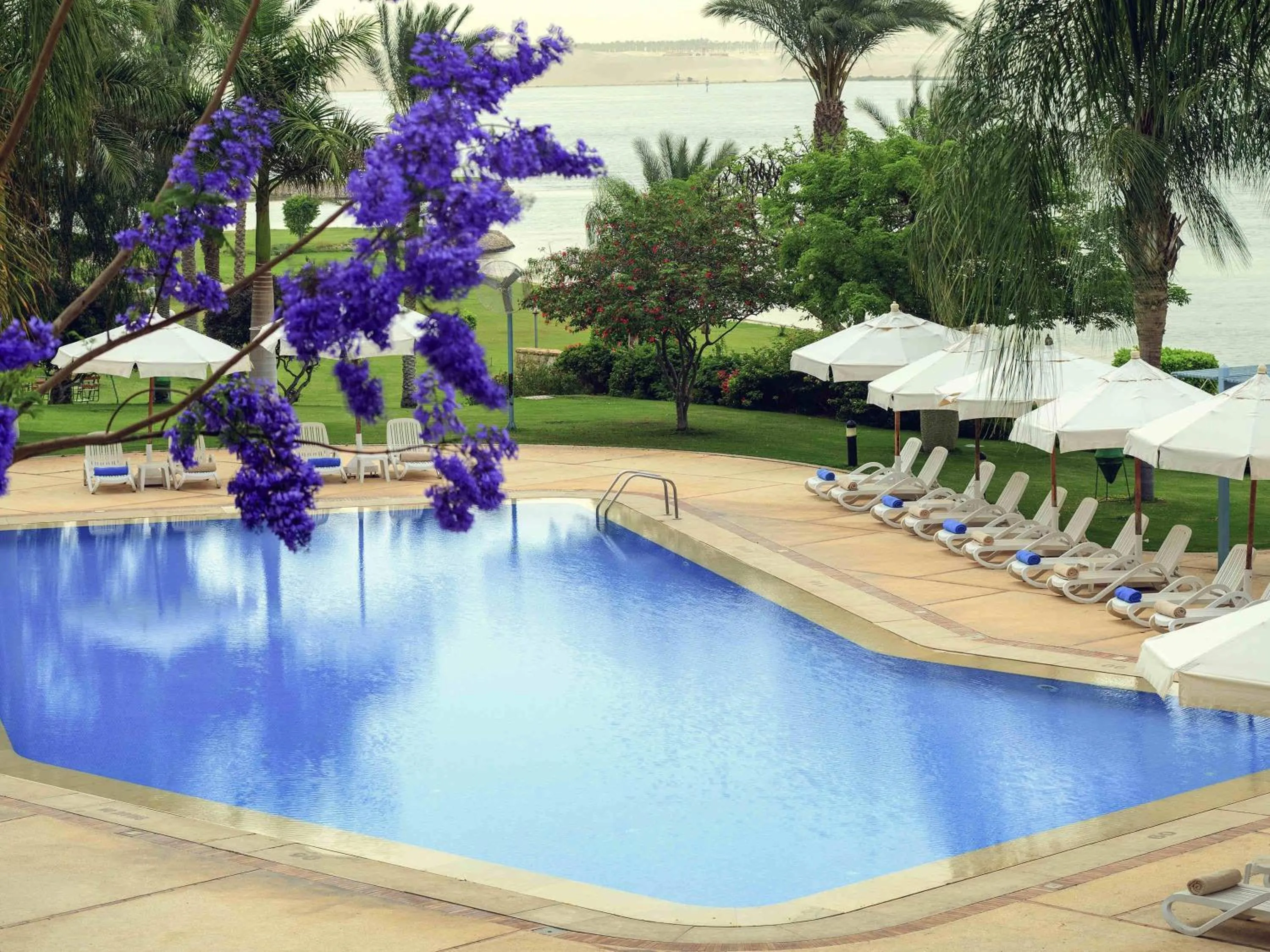 Spring in Mercure Ismailia Forsan Island