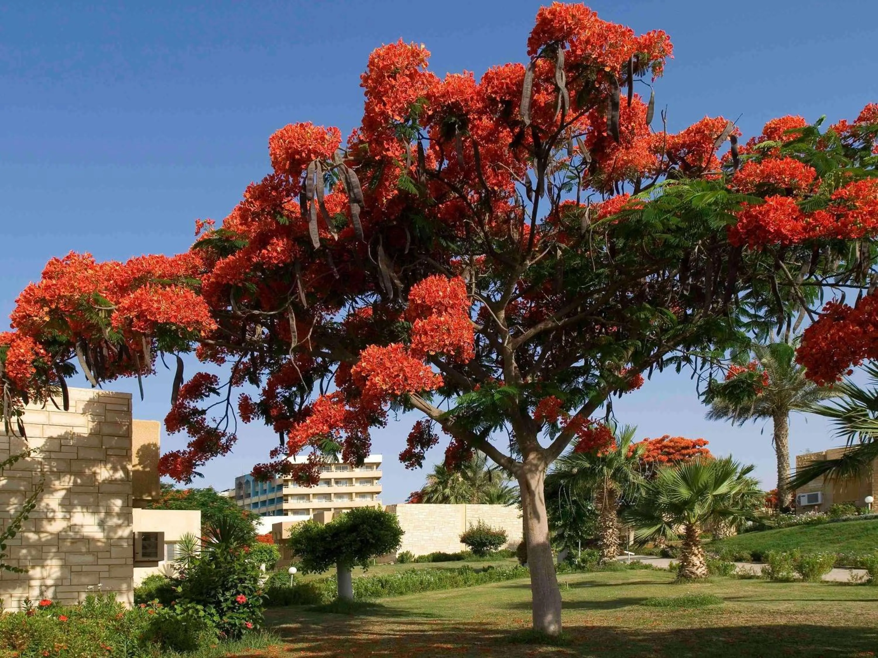 Bedroom in Mercure Ismailia Forsan Island