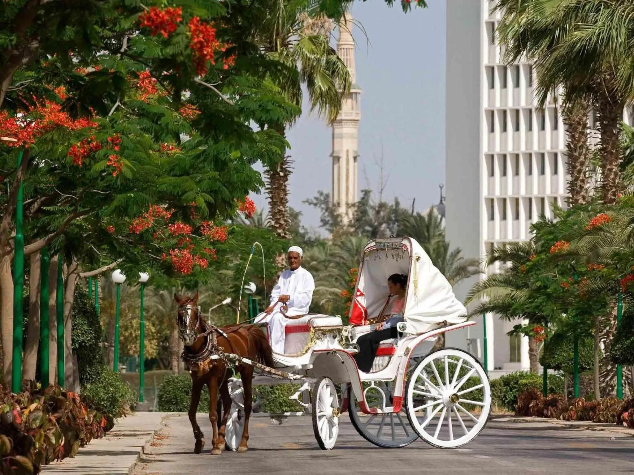 Day in Mercure Ismailia Forsan Island