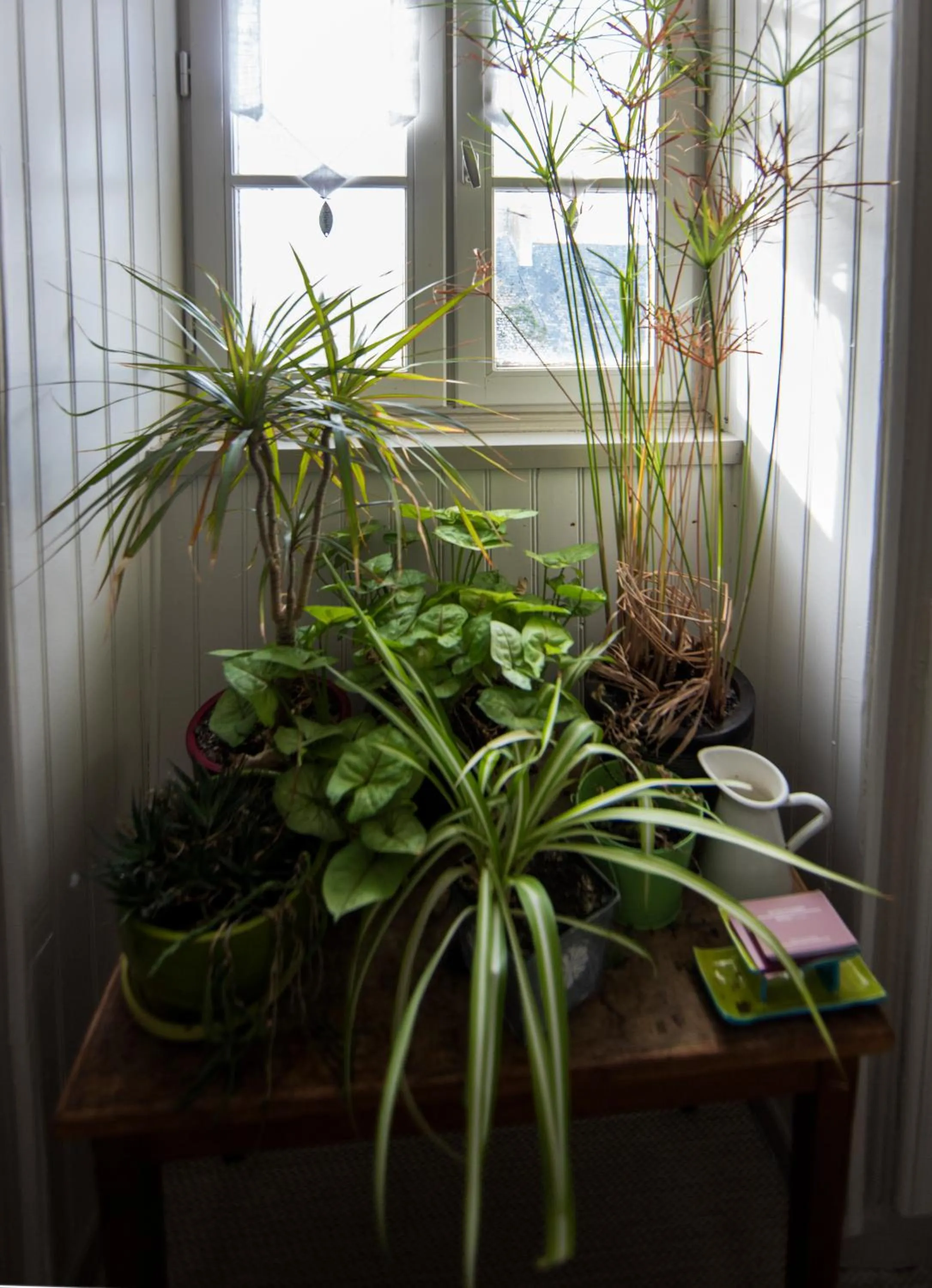 Decorative detail in Au Fin Gourmet