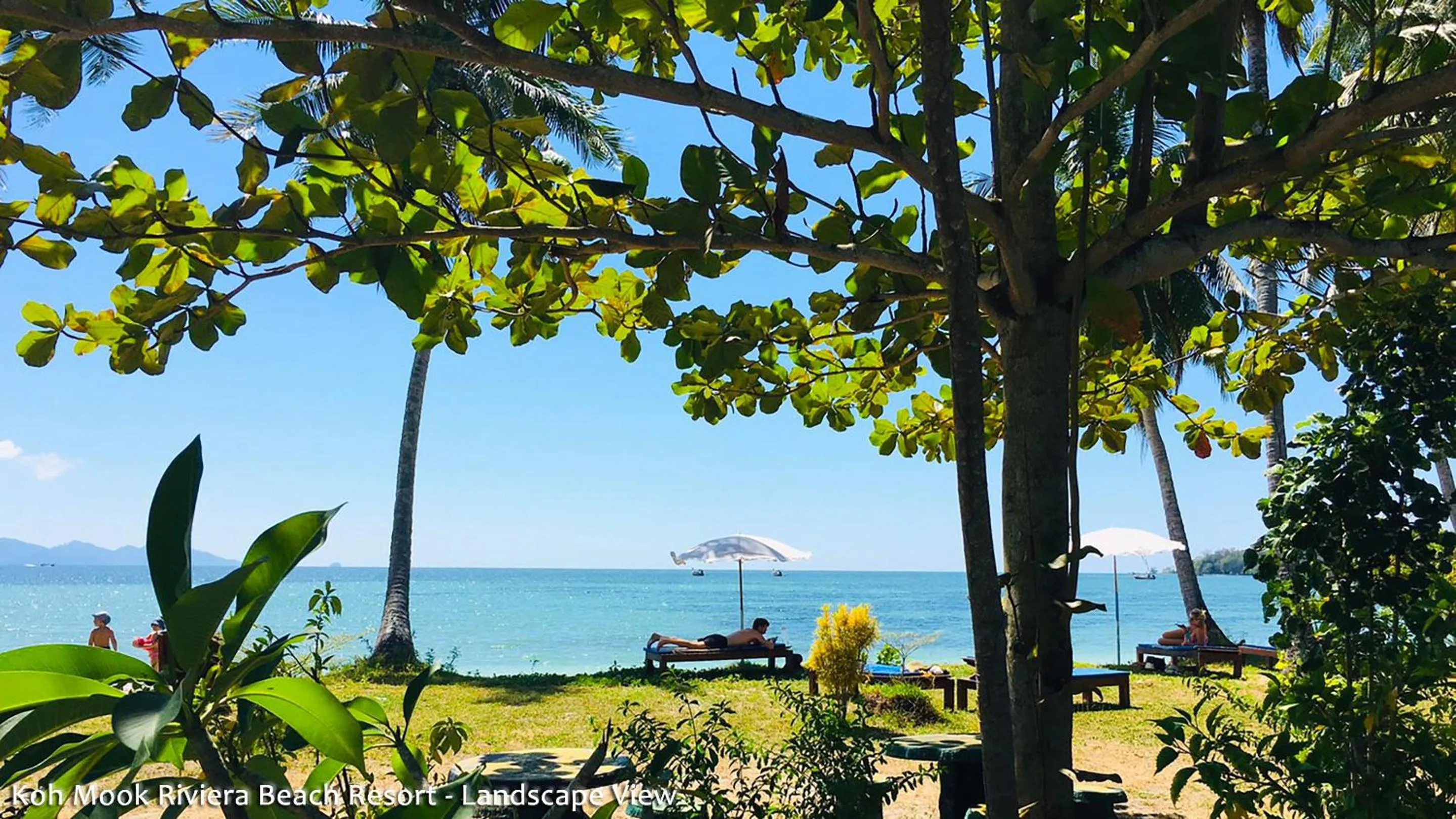 Natural landscape in Koh Mook Riviera Beach Resort