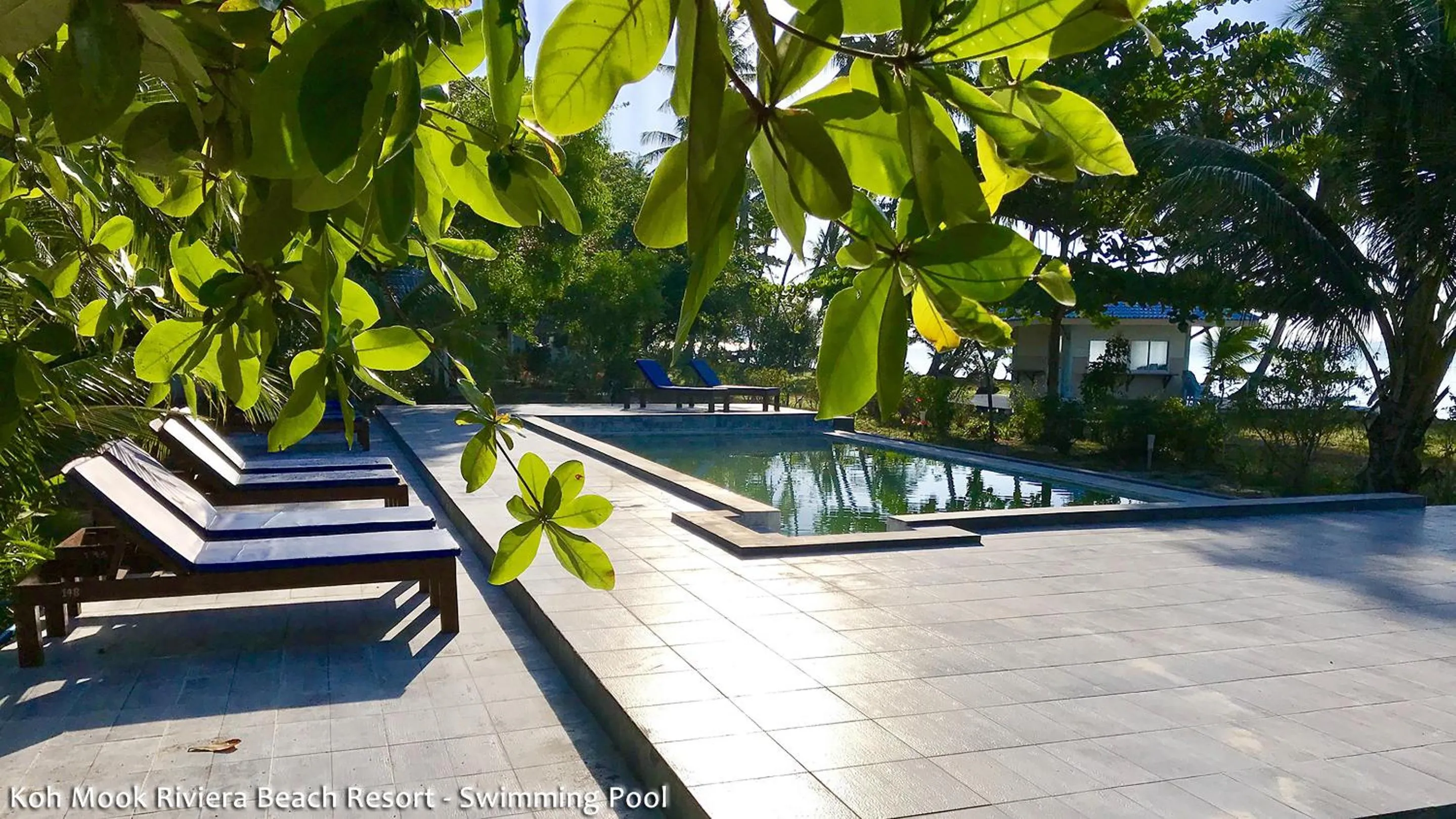 Swimming pool in Koh Mook Riviera Beach Resort