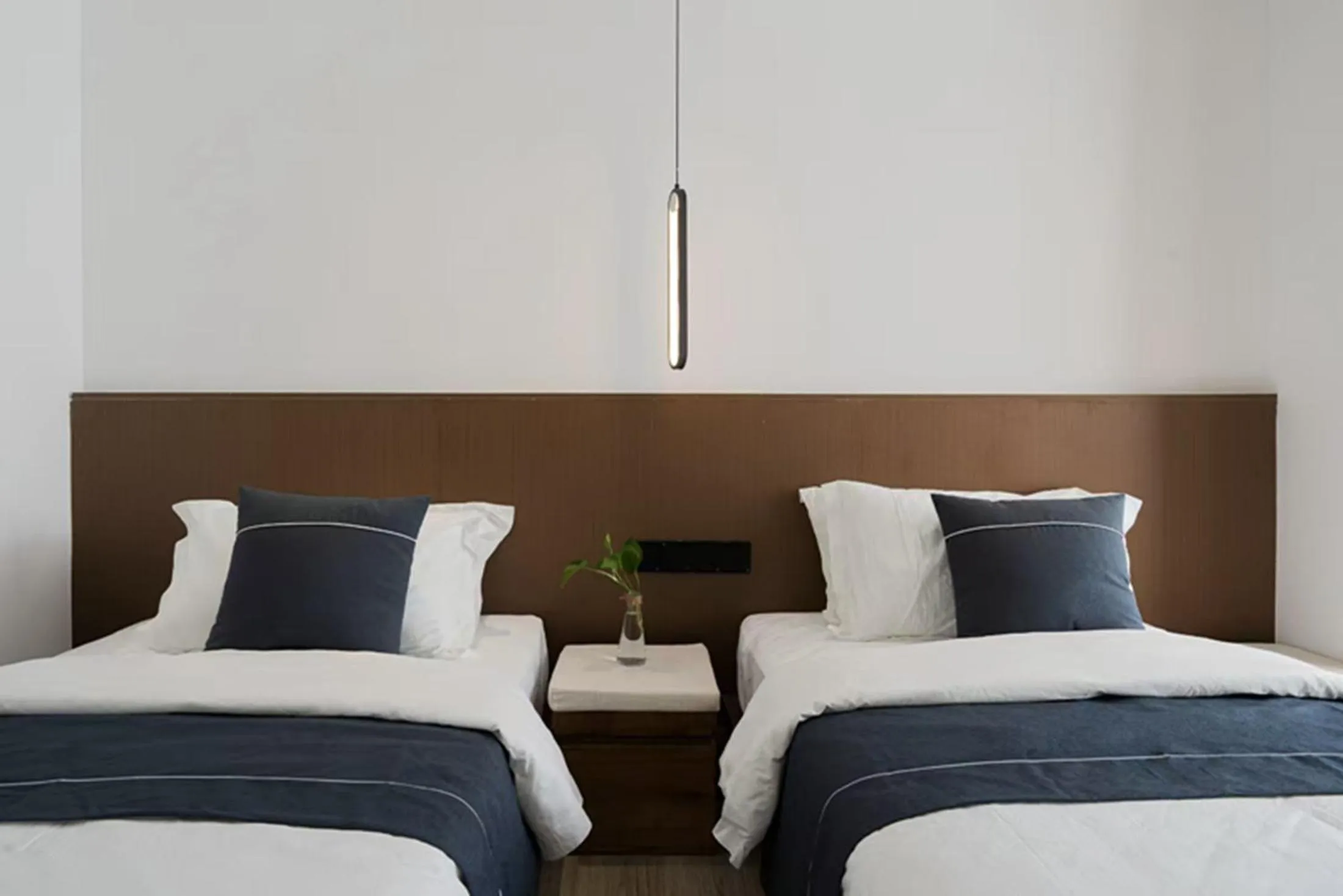 Photo of the whole room, Bed in Edinburgh Hostel