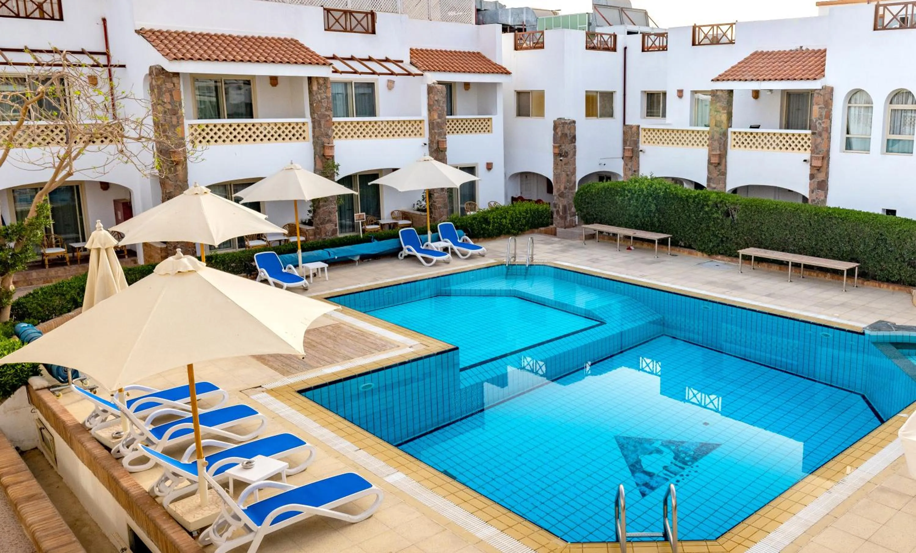 Swimming pool in Camel Dive Club & Hotel - Boutique Hotel