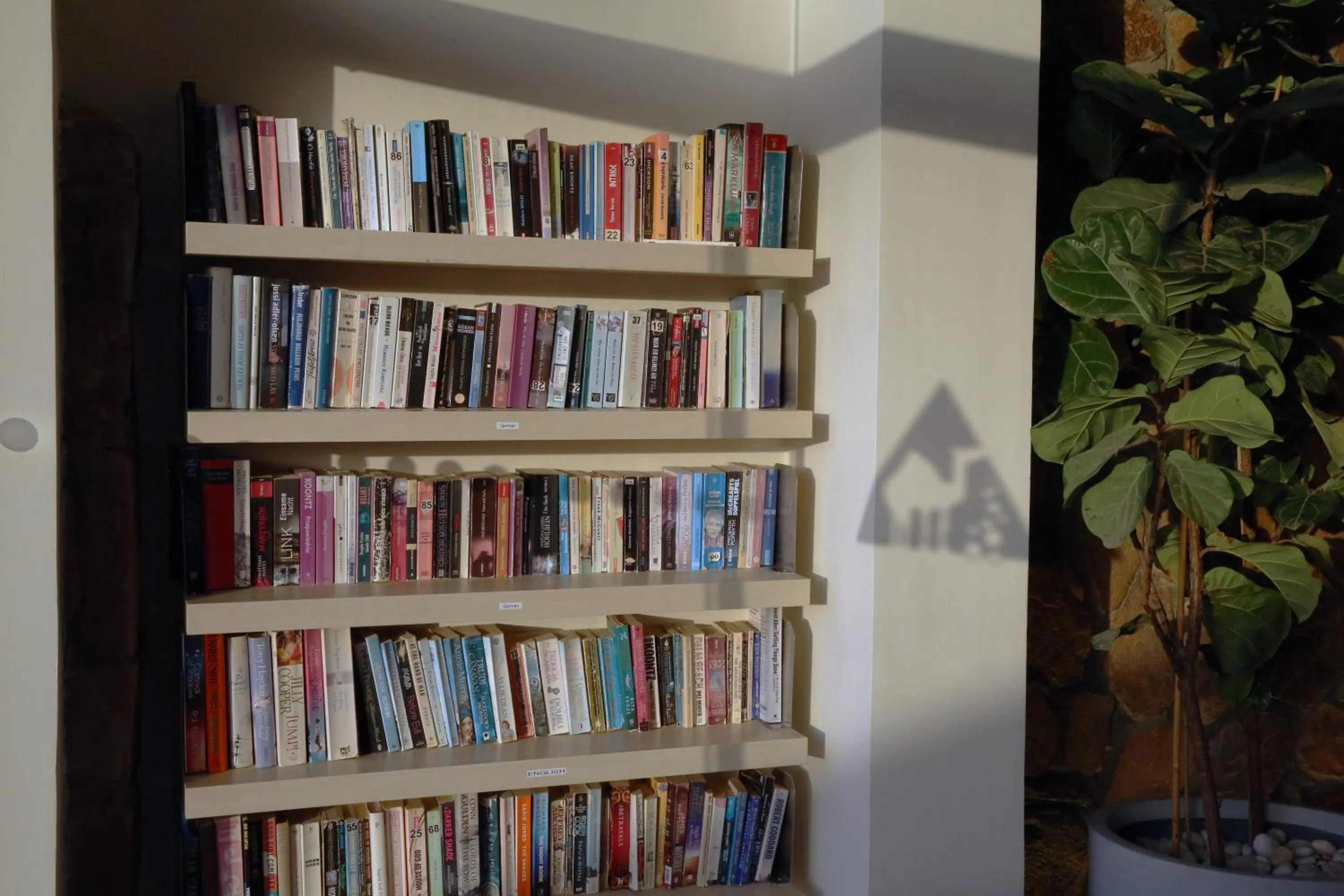 Library in Camel Dive Club & Hotel - Boutique Hotel