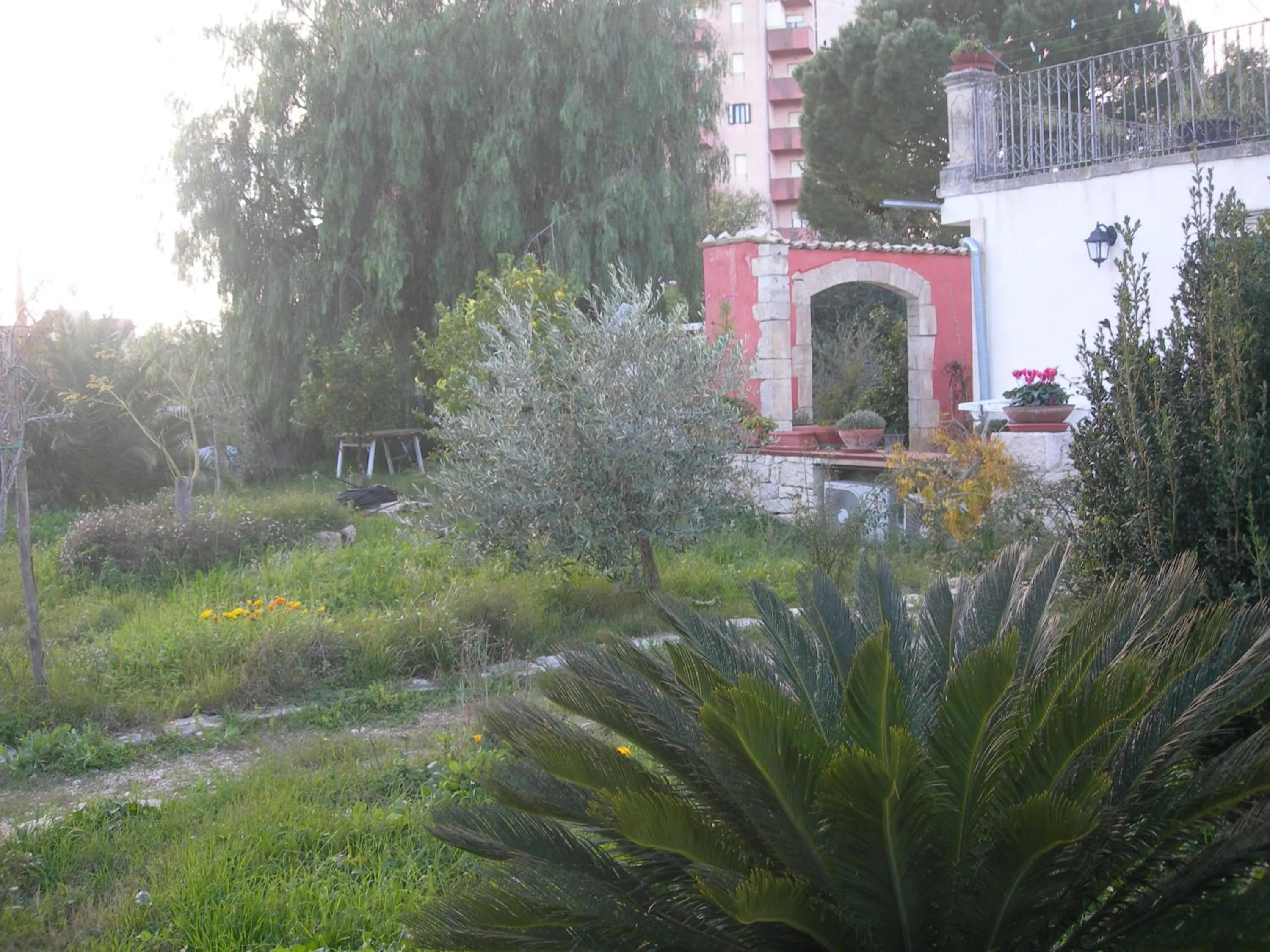Garden view in Modica Garden Resort