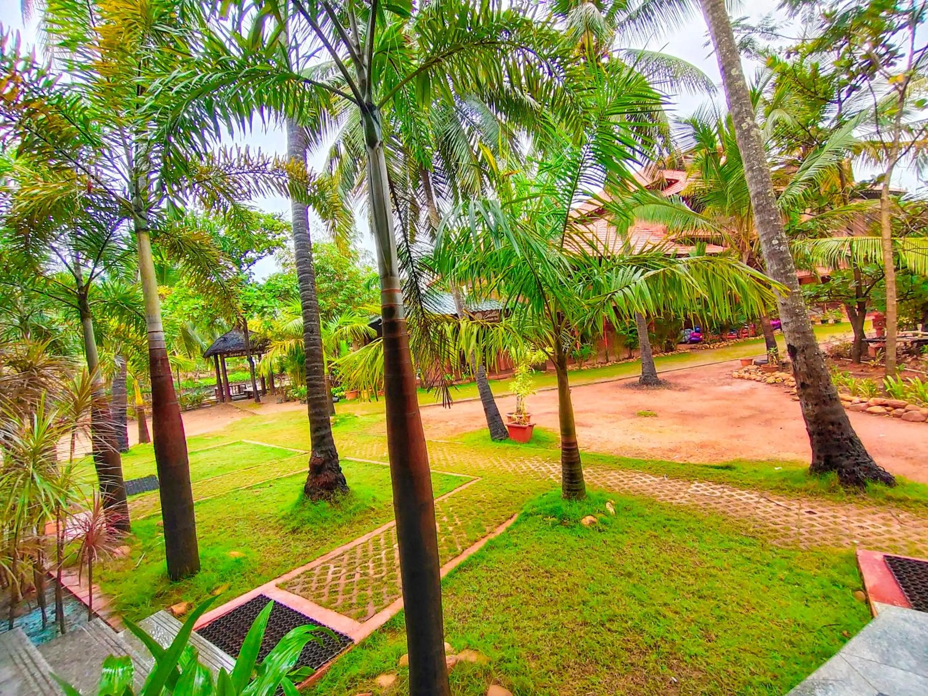 Garden in Paradise Lagoon