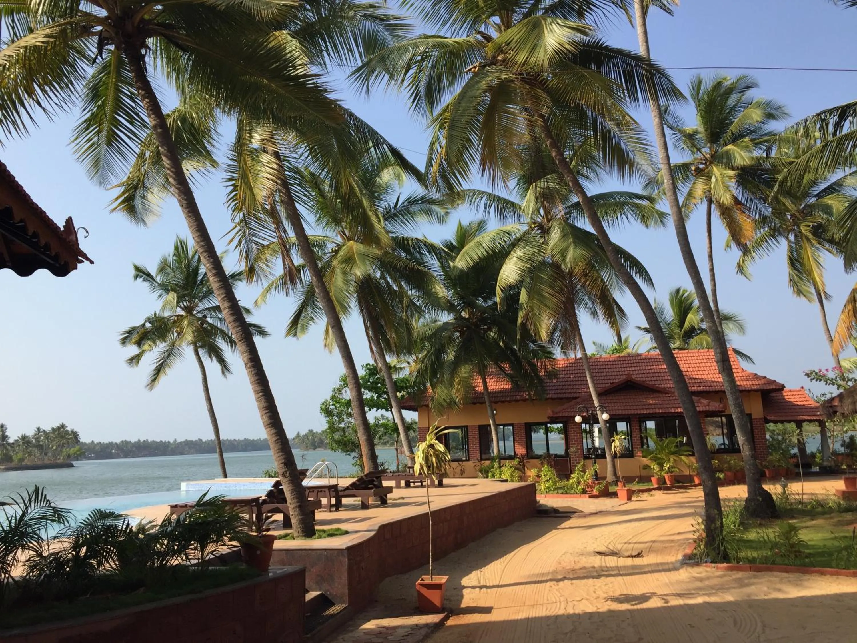 Other in Paradise Lagoon